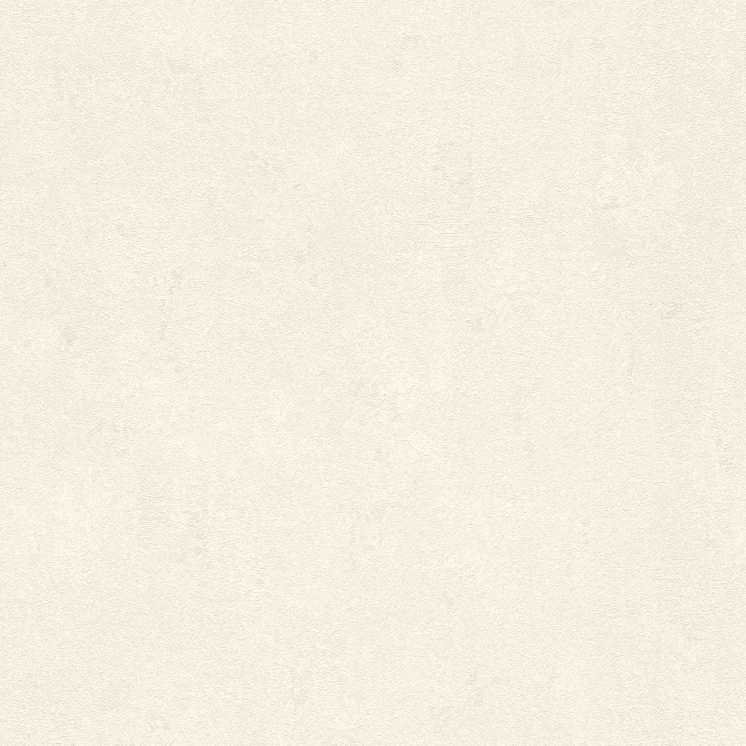 Rasch | #tapetenwechsel II | 609011 | Vliestapete | Betonoptik | 0.53 x 10.05 m | Creme