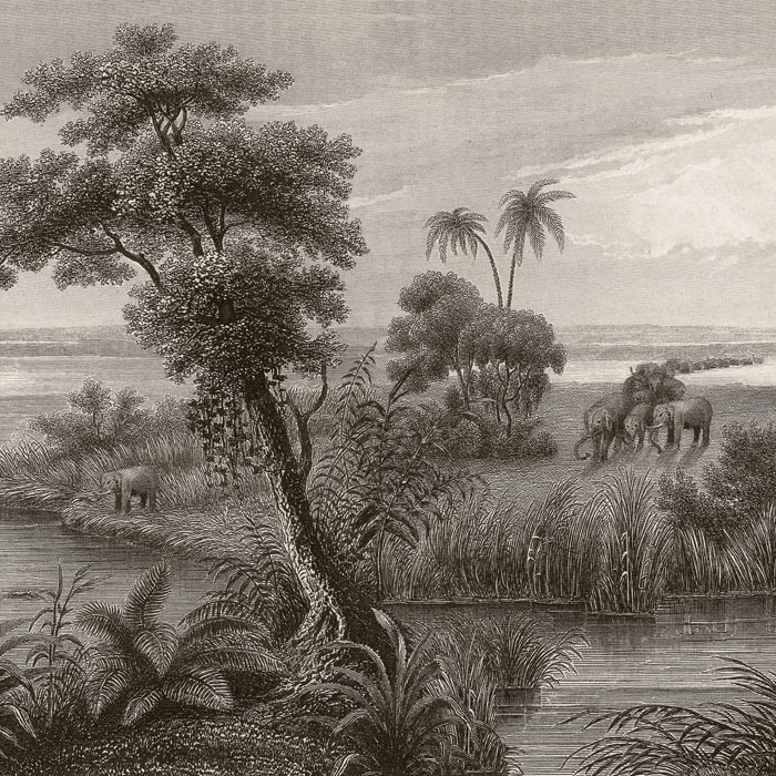 Rasch Fototapete 556131 Lirico 424 x 300 cm Botanical Dschungel