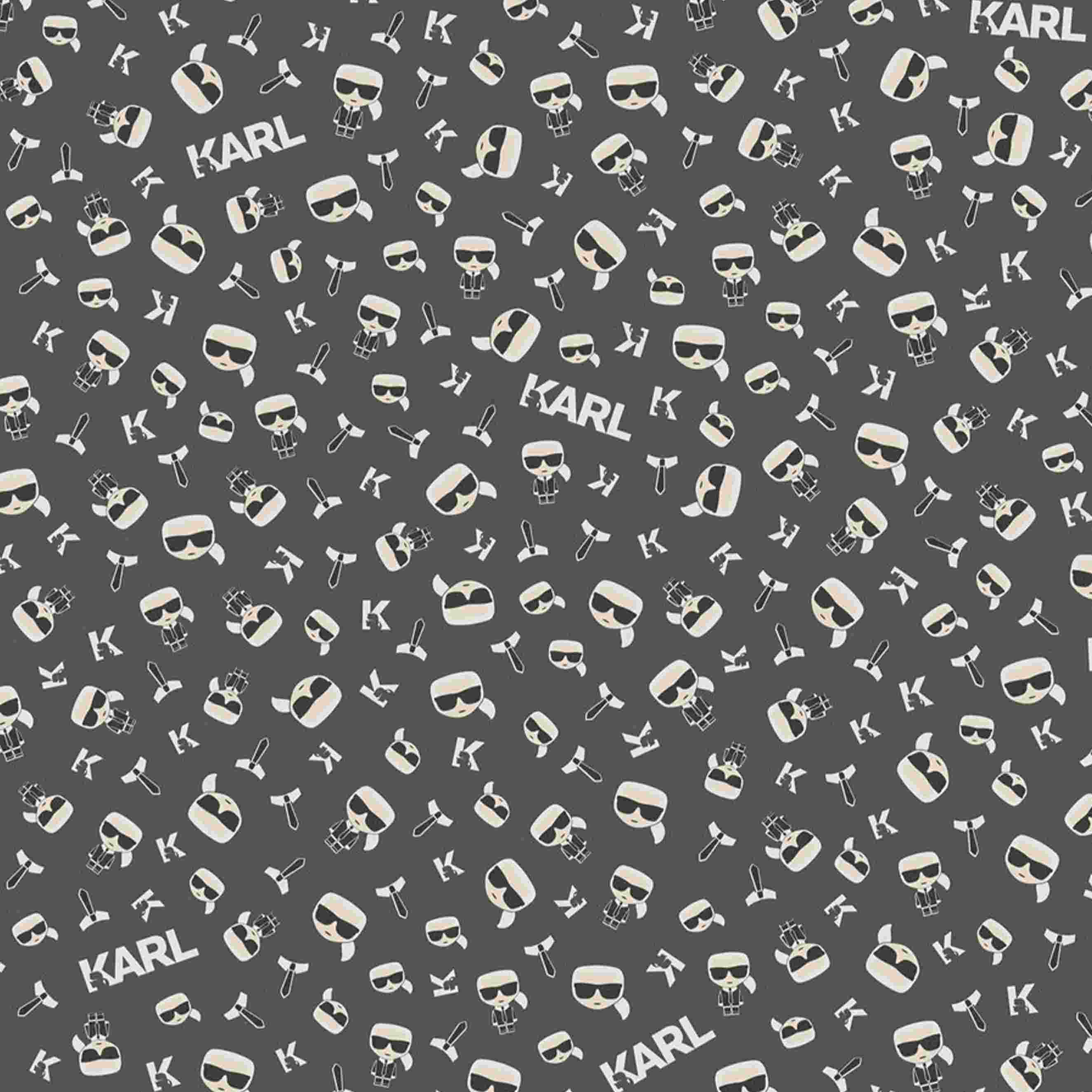 A.S. Creation | Karl Lagerfeld | 378437 | Vliestapete | 3D Optik | 0.53 x 10.05 m | Schwarz