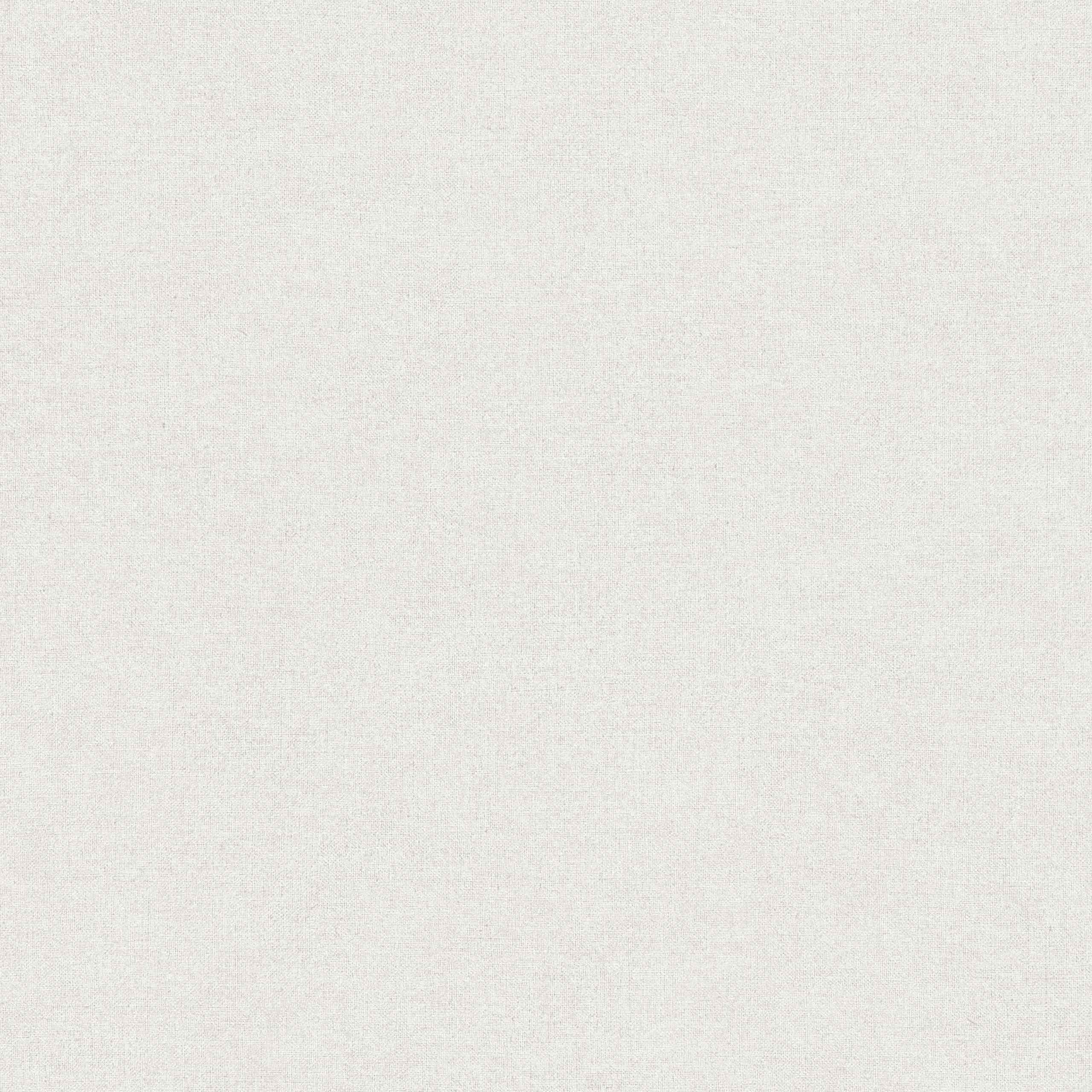 A.S. Creation | Paradise Garden | 367206 | Vliestapete | Einfarbig | 0.53 x 10.05 m | Grau