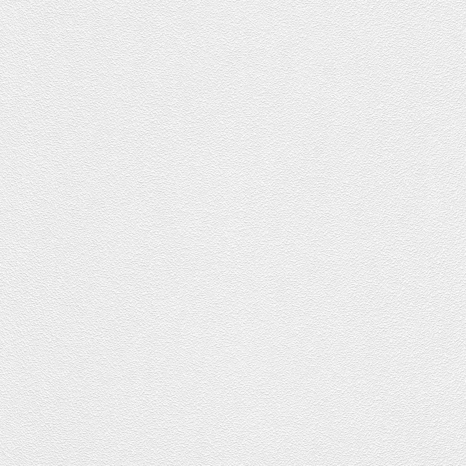 Erismann | Rollover 2024 | 5359-10 | Vliestapete | Einfarbig | Uni | 0.53 x 10.05 m | Weiß