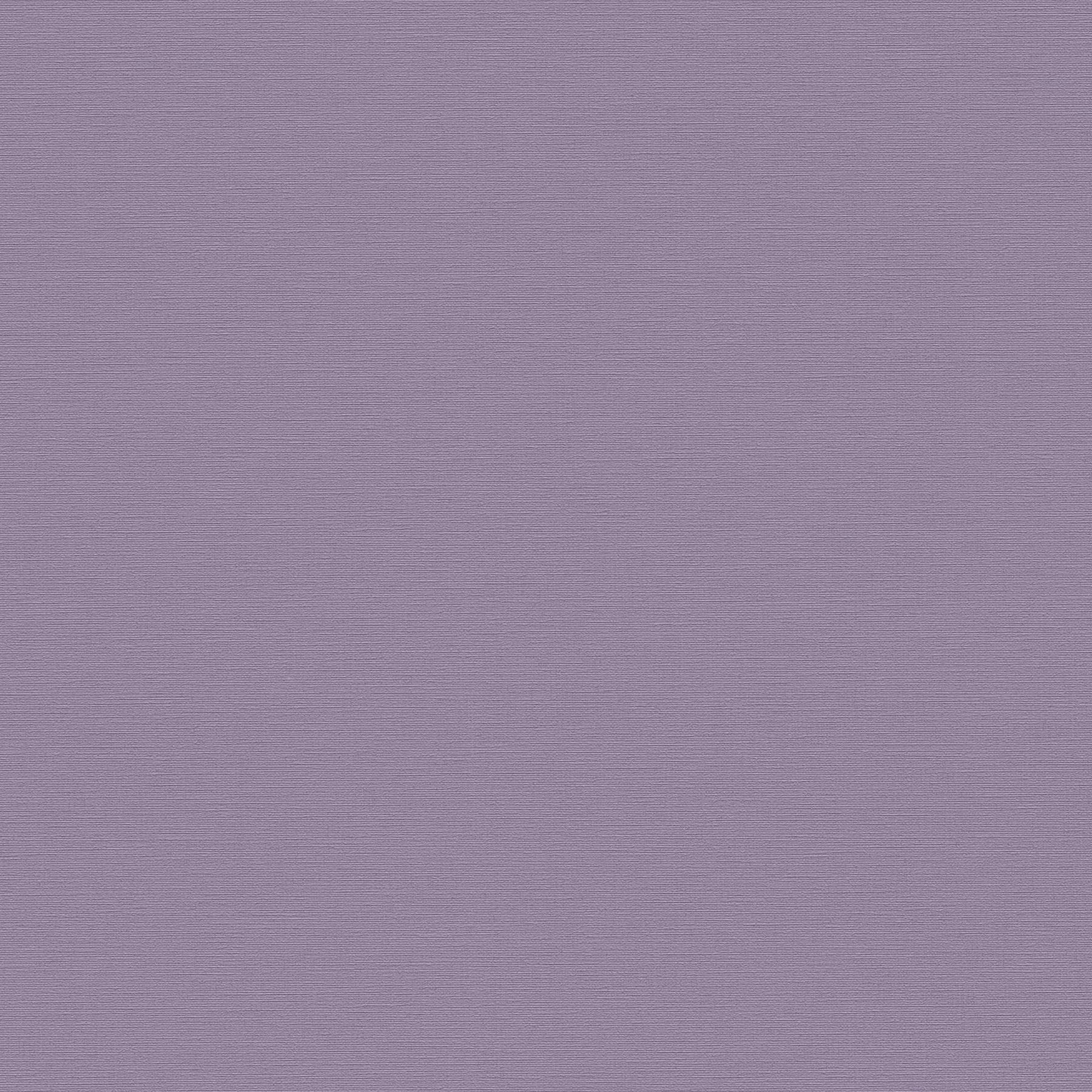 Vliestapete 389039 Lila Uni Einfarbig Aquarell Dreams A.S. Creation