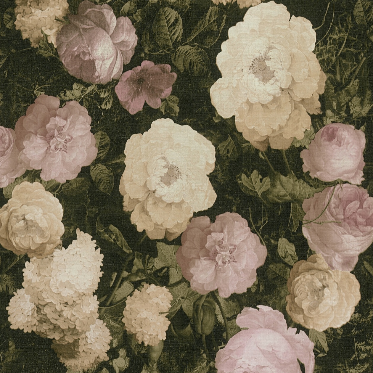 A.S. Creation | History of Art | 376501 | Vliestapete | Blumenoptik | 0.53 x 10.05 m | Rosa