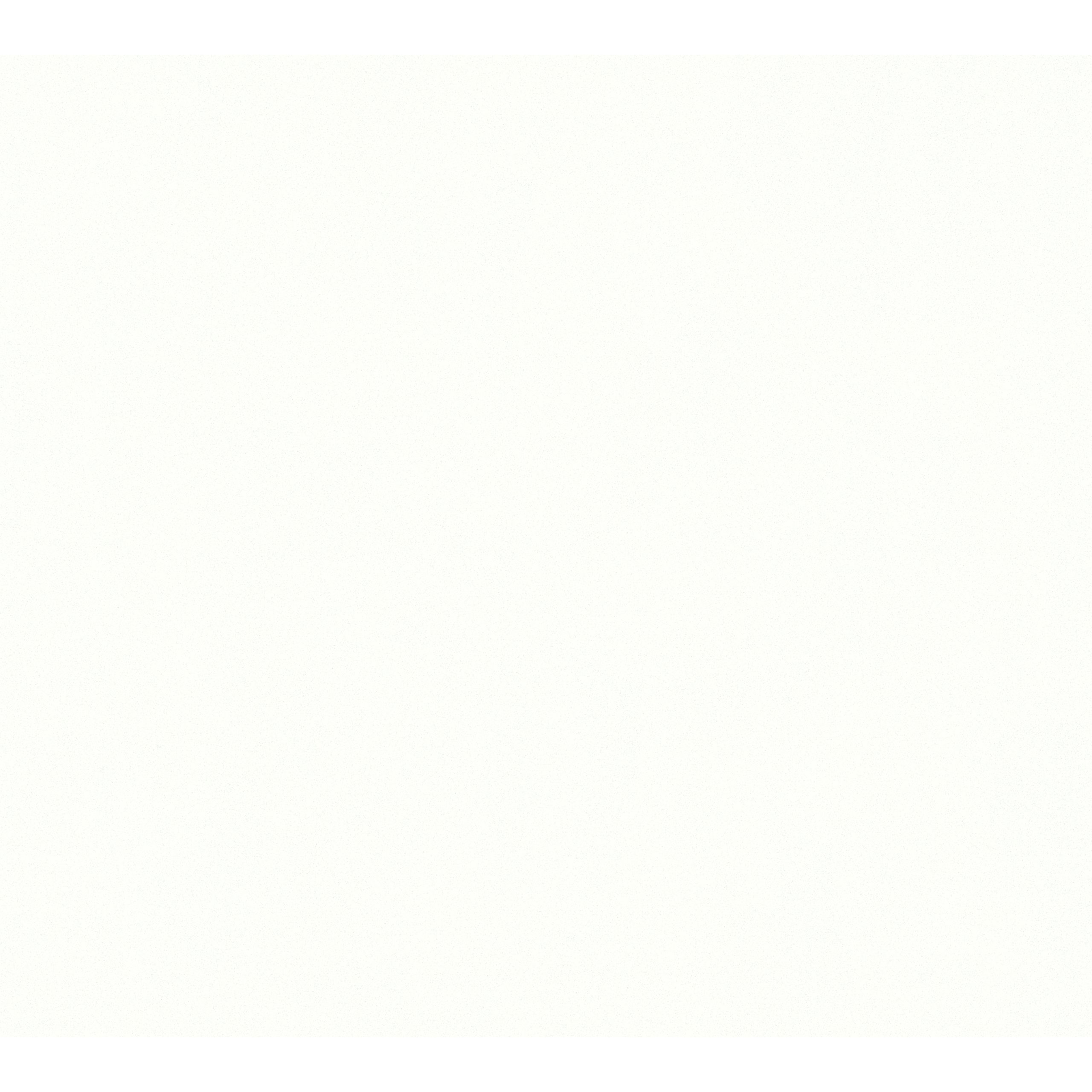 A.S. Creation | Trendwall | 369017 | Vliestapete | Einfarbig | Uni | 0.53 x 10.05 m | Creme