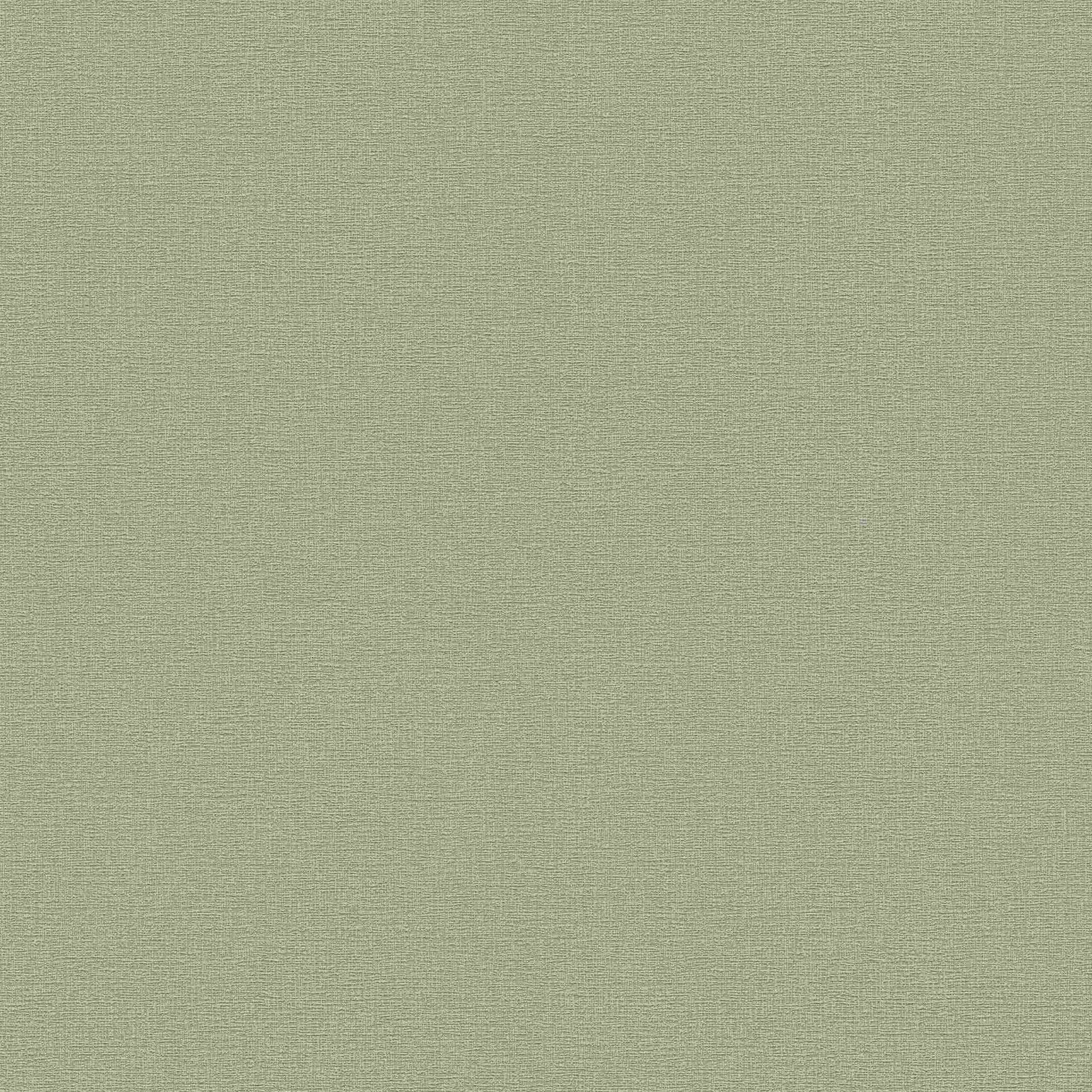 A.S. Creation | Flavour | 367137 | Vliestapete | Einfarbig | Uni | 0.53 x 10.05 m | Grün