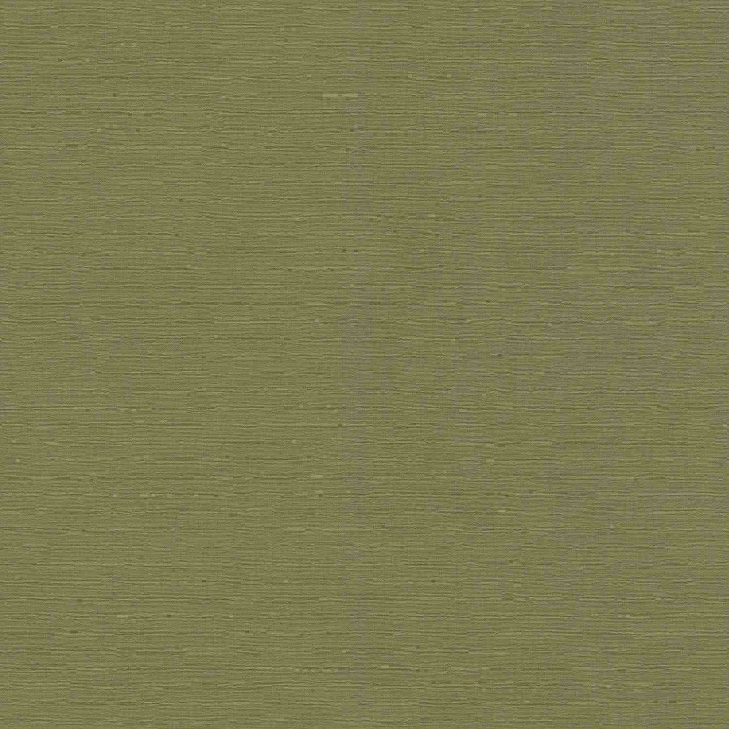 Rasch | Salsa | 452068 | Vliestapete | Einfarbig | Uni | 0.53 x 10.05 m | Grün