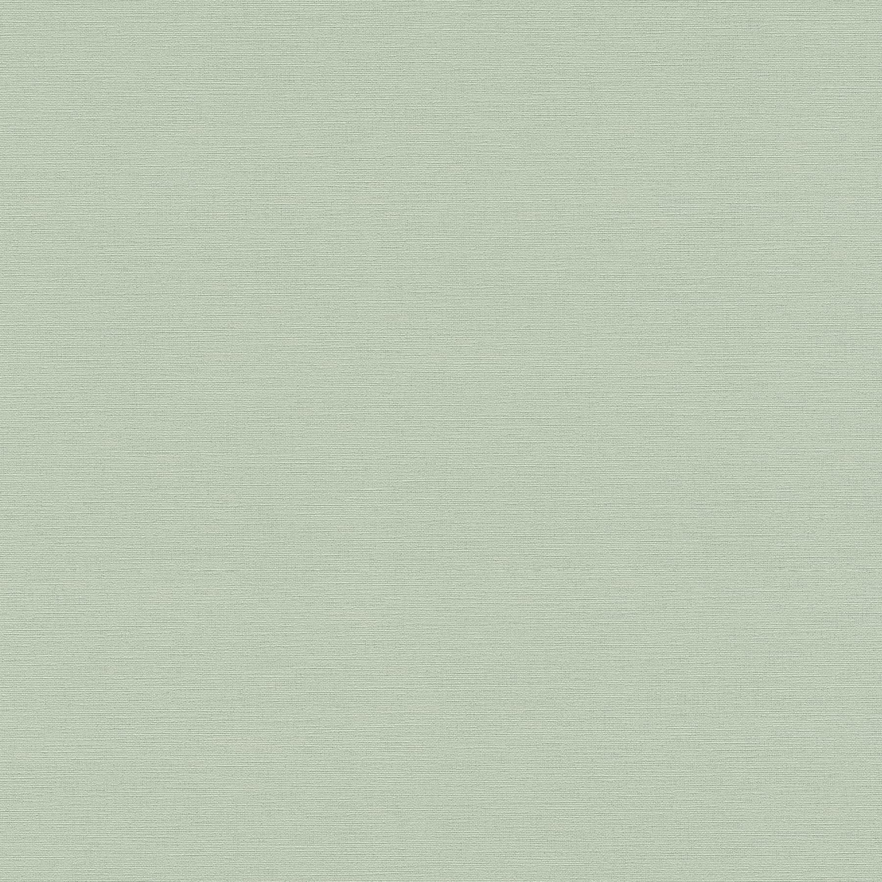 Vliestapete 371788 Grün Uni Einfarbig Aquarell Dreams A.S. Creation