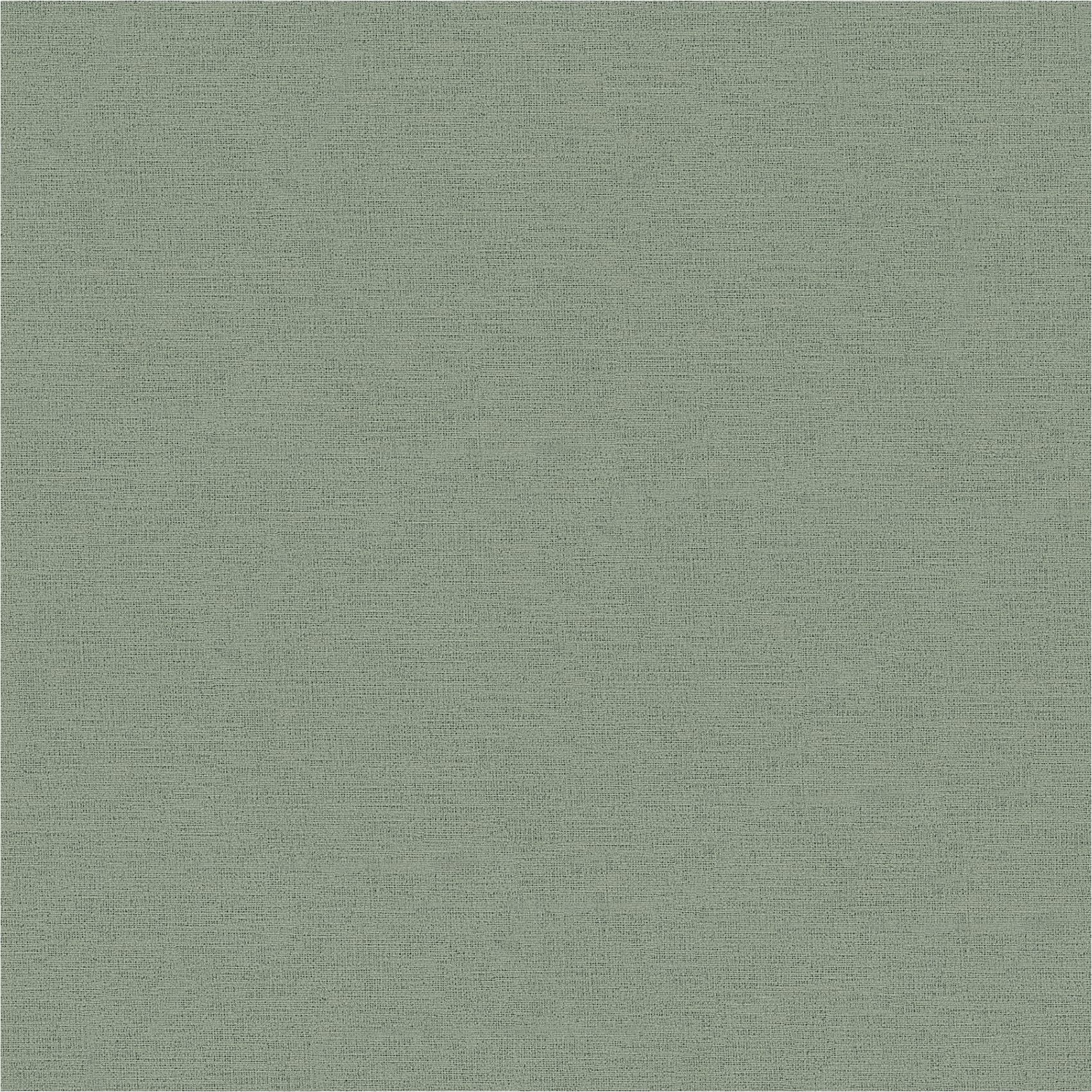 Vliestapete 371787 Einfarbige Tapete Grün Dunkelgrün Uni Anna D Andrea A.S. Création