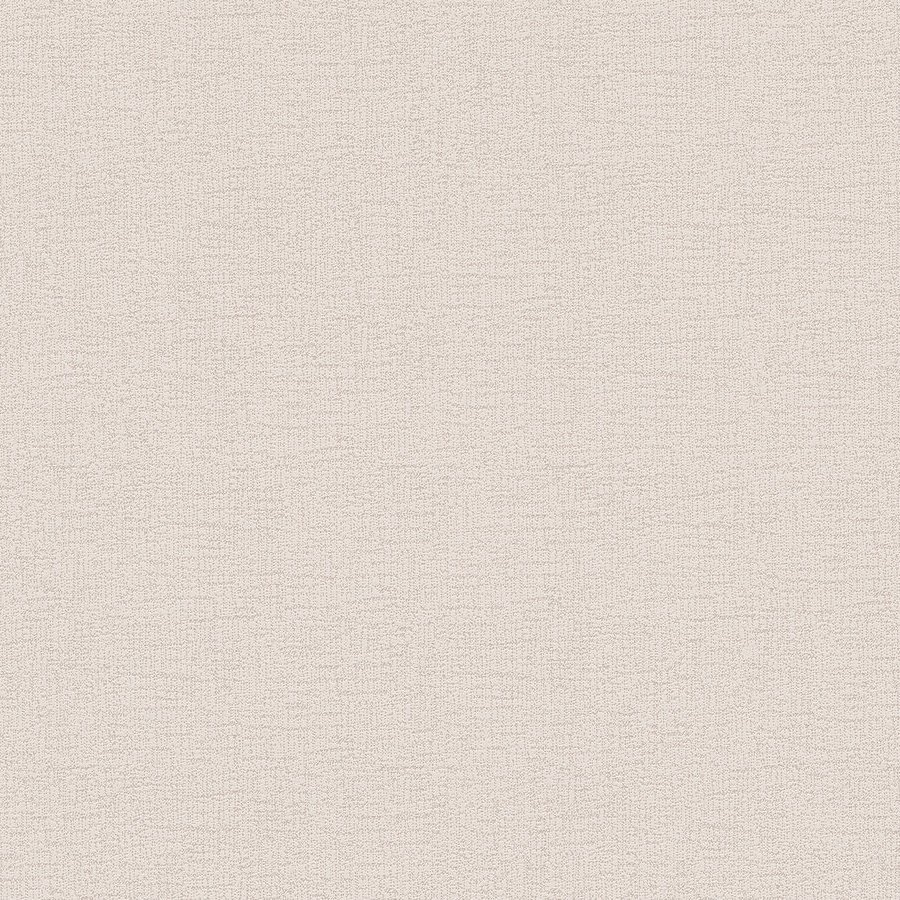 A.S. Creation | Styleguide Design 2024 | 378316 | Vliestapete | Einfarbig | 10.05 x 0.53 m | Beige