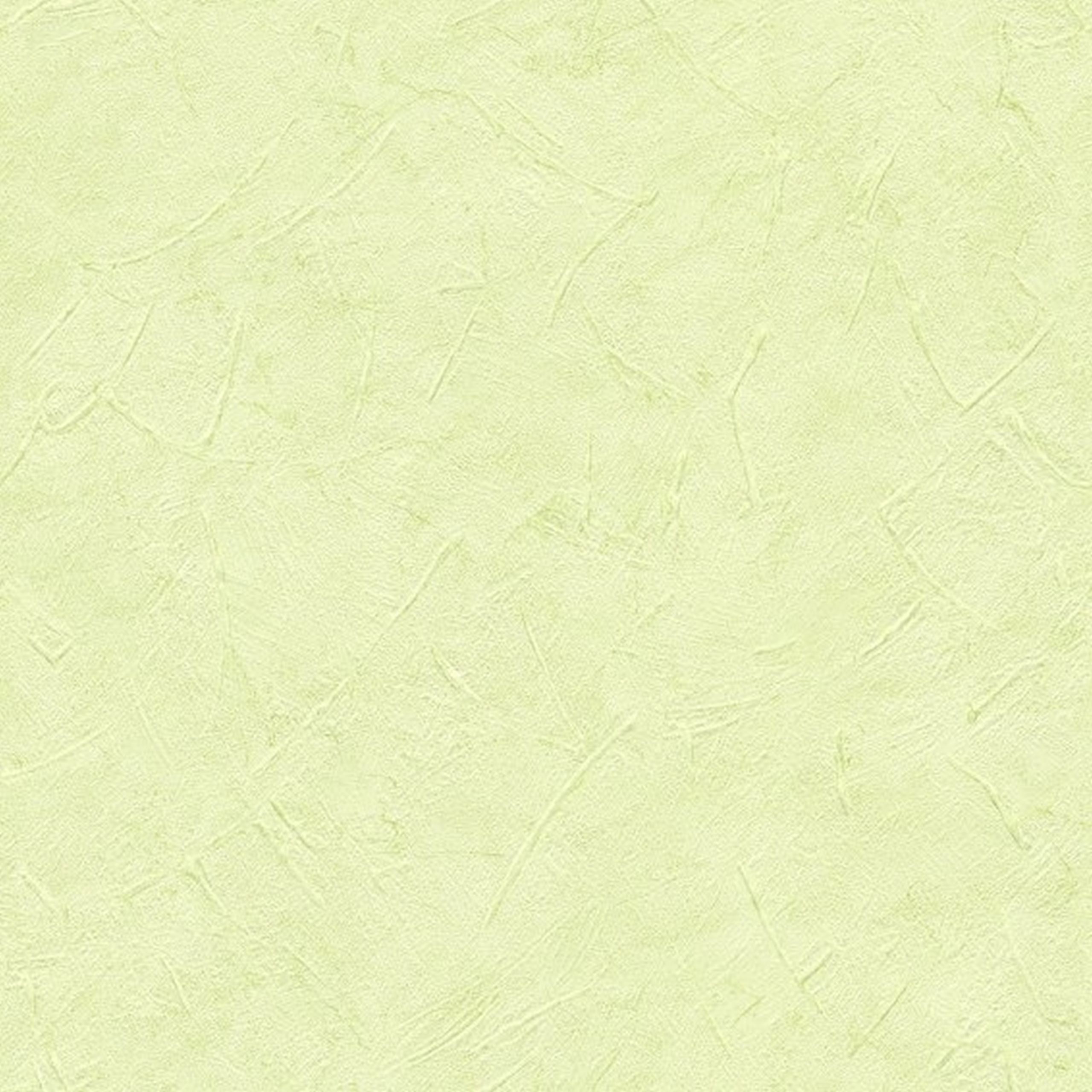 A.S. Creation | Azzurro | 992543 | Papiertapete | Einfarbig | Uni | 0.53 x 10.05 m | Grün