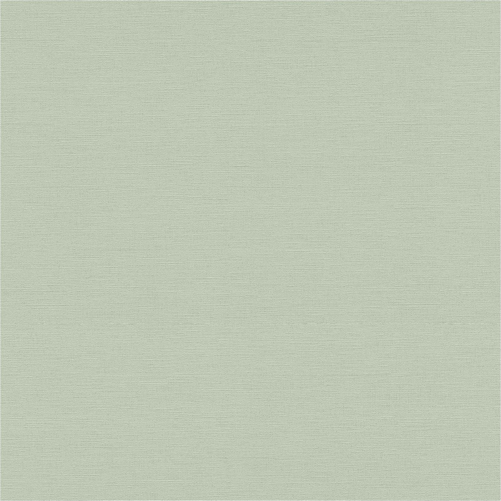 Vliestapete 371788 Einfarbige Tapete Grün Hellgrün Uni Anna D Andrea A.S. Création