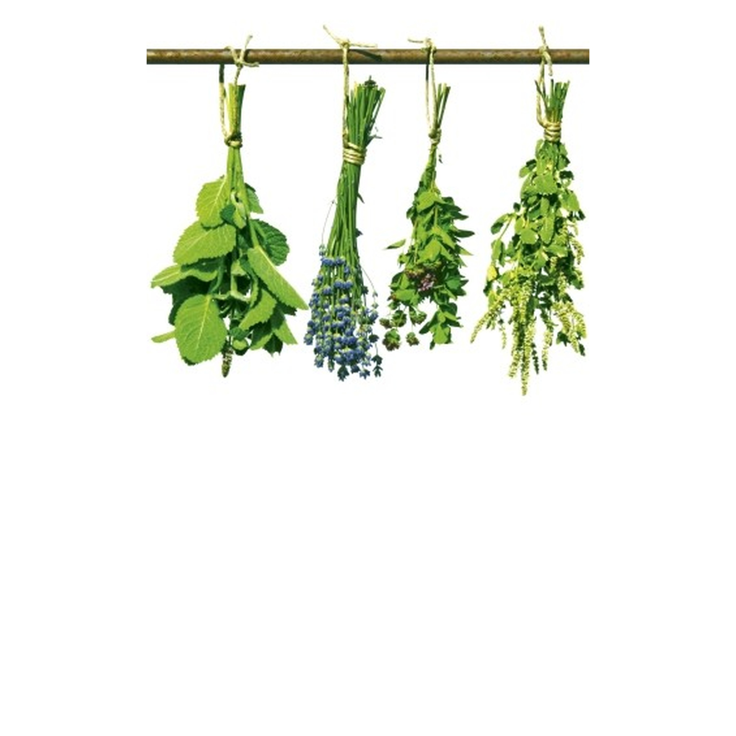 Dimex | Dimex Line | MS-2-0240  | Fototapete | Vlies | Versch. Größen | Küche | Grün