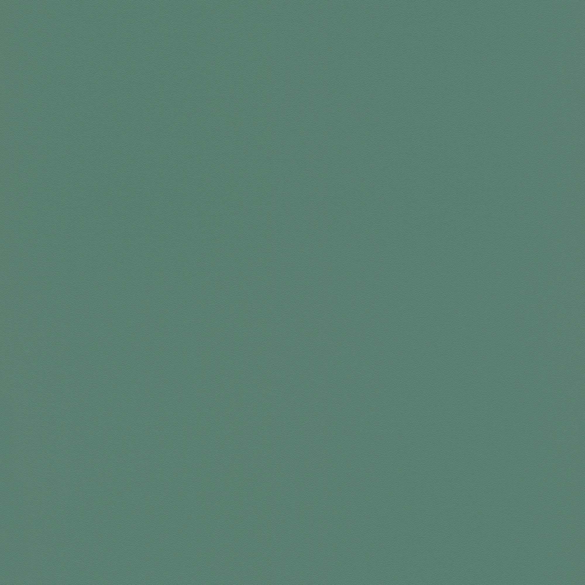 Rasch | Selection | 807615 | Vliestapete | Uni | 10.05 x 0.53 m | Grün