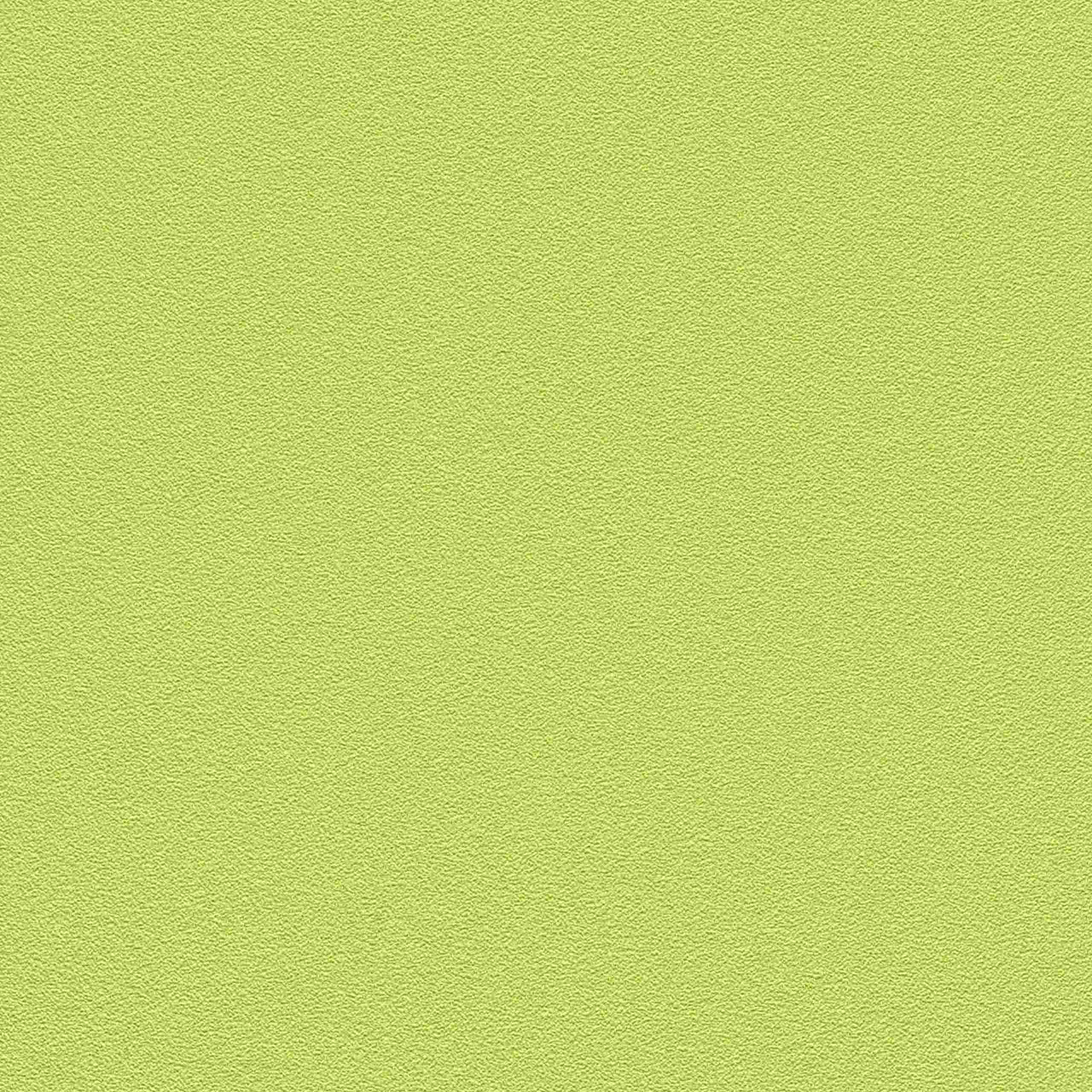 Rasch | Kids & Teens III | 469035 | Vliestapete | Einfarbig | Uni | 0.53 x 10.05 m | Grün
