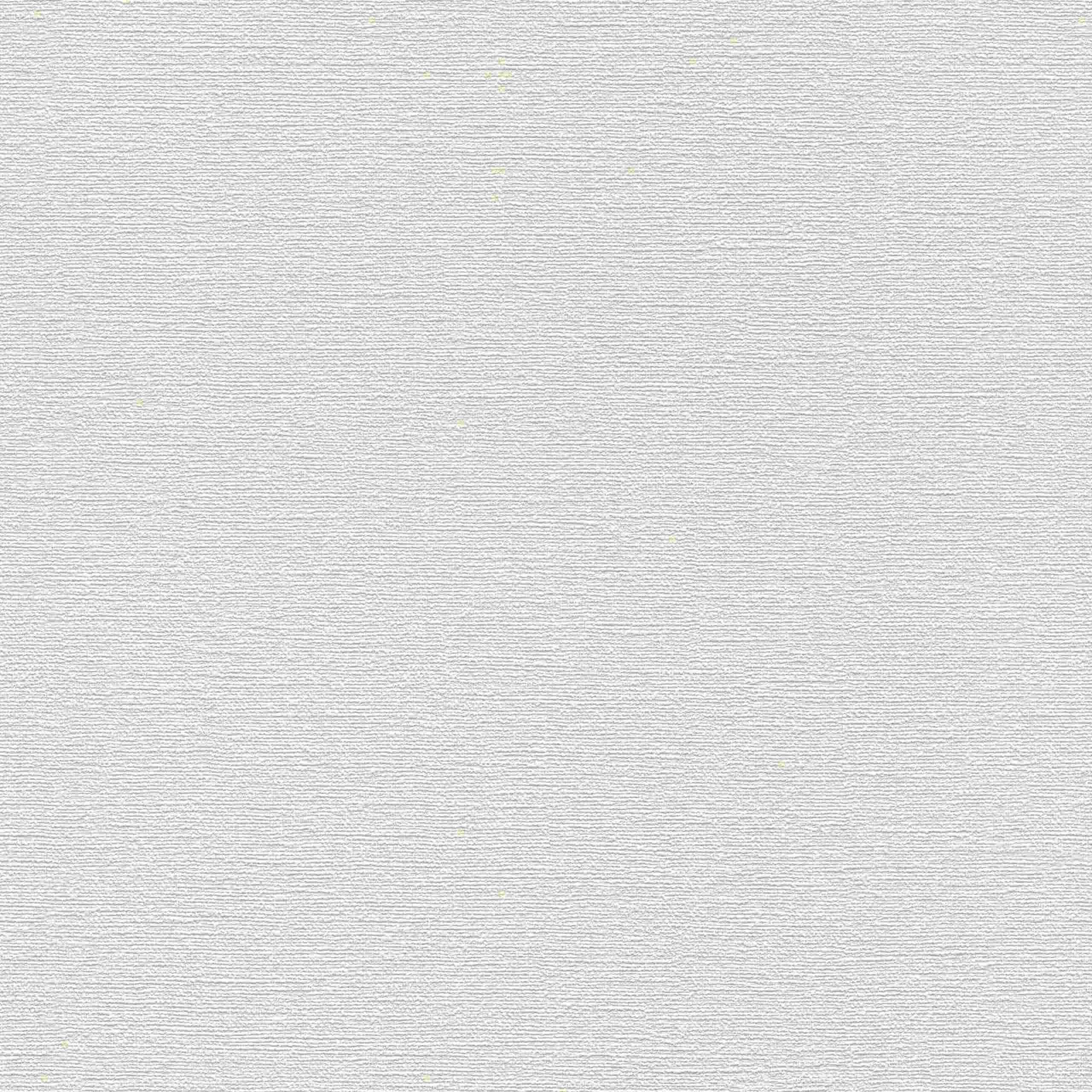 Rasch | Selection | 804539 | Vliestapete | Einfarbig | Uni | 0.53 x 10.05 m | Grau