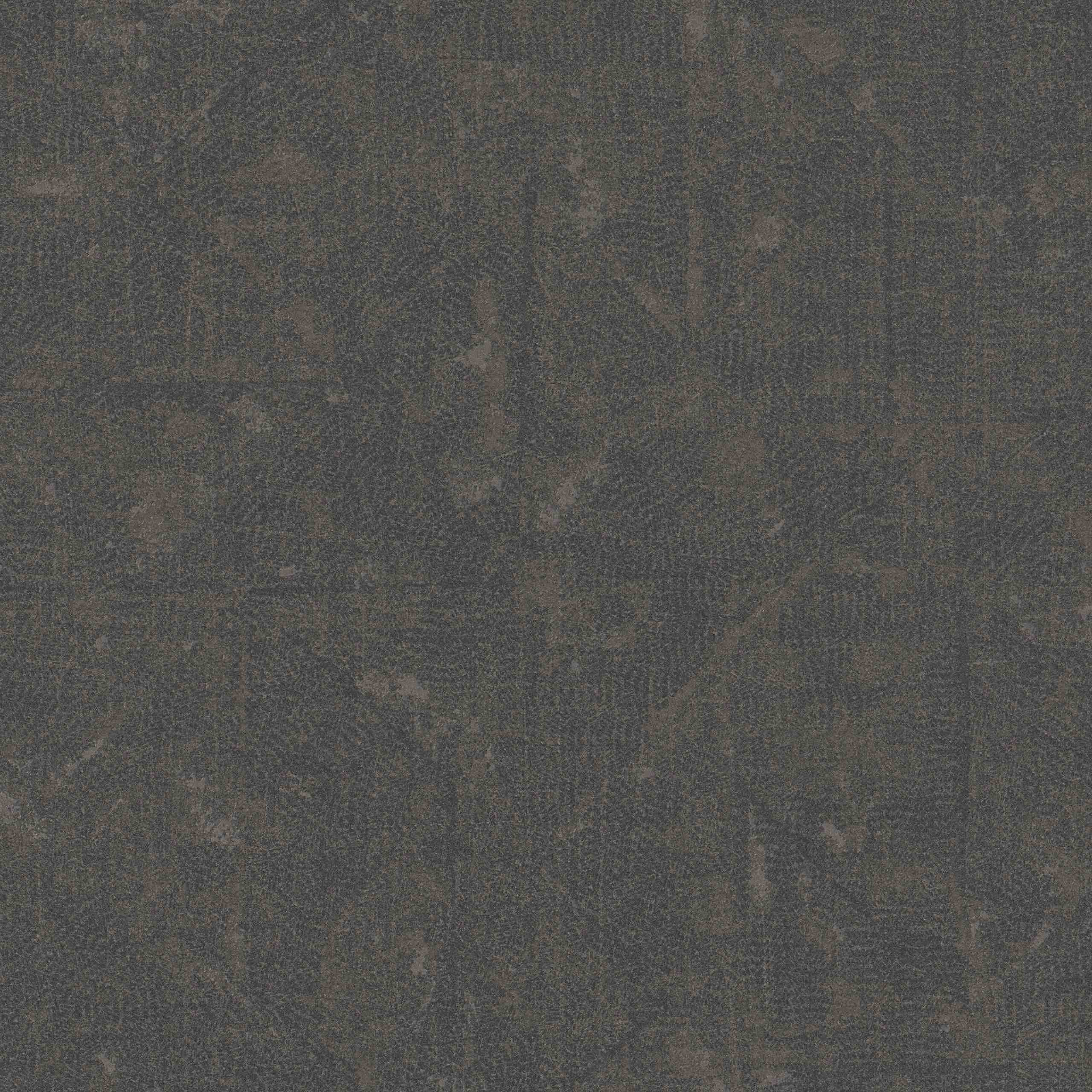 A.S. Creation | Absolutely Chic | 369742 | Vliestapete | Vintage | 0.53 x 10.05 m | Braun