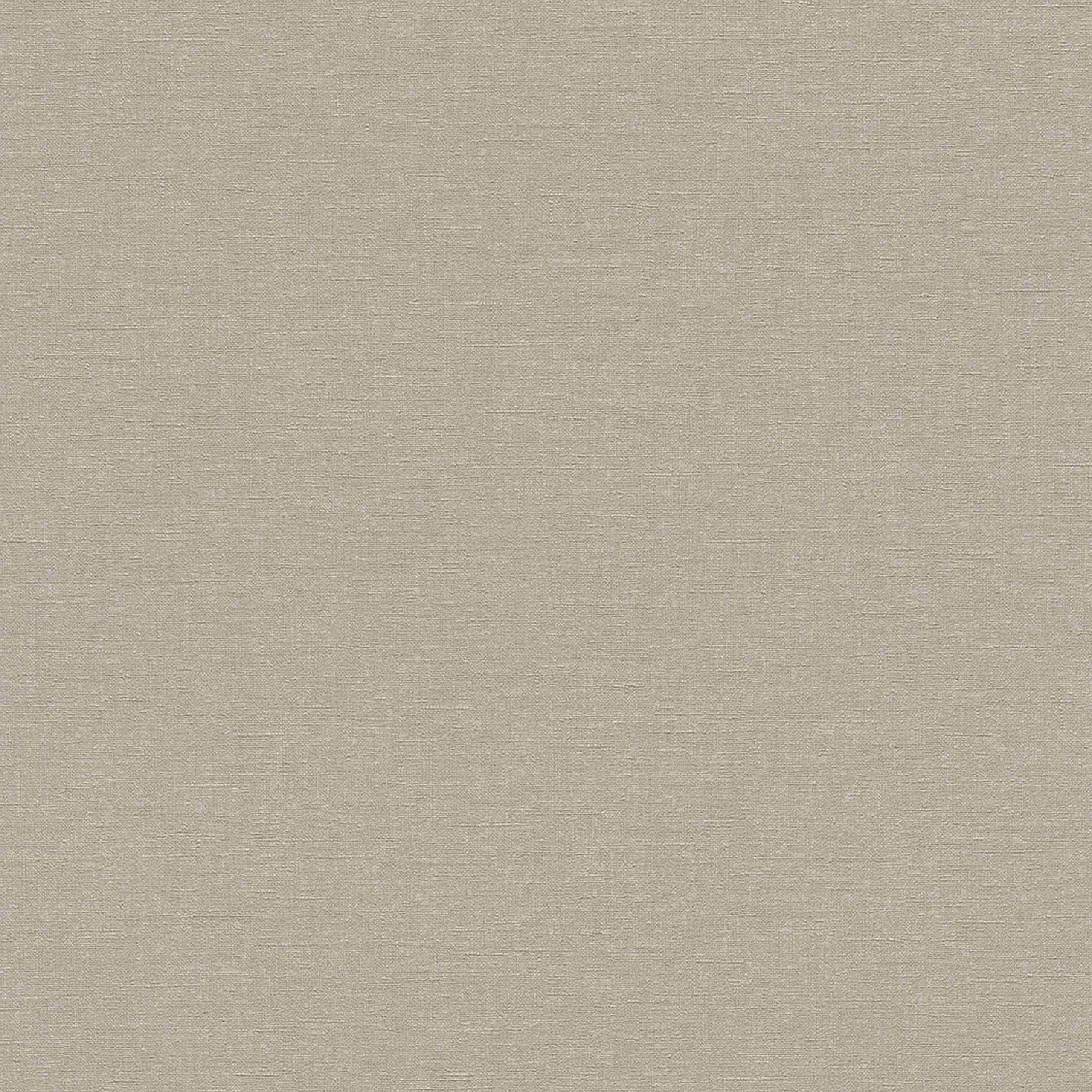 Rasch | Best of Florentine | 448566 | Vliestapete | Einfarbig | Uni | 0.53 x 10.05 m | Braun