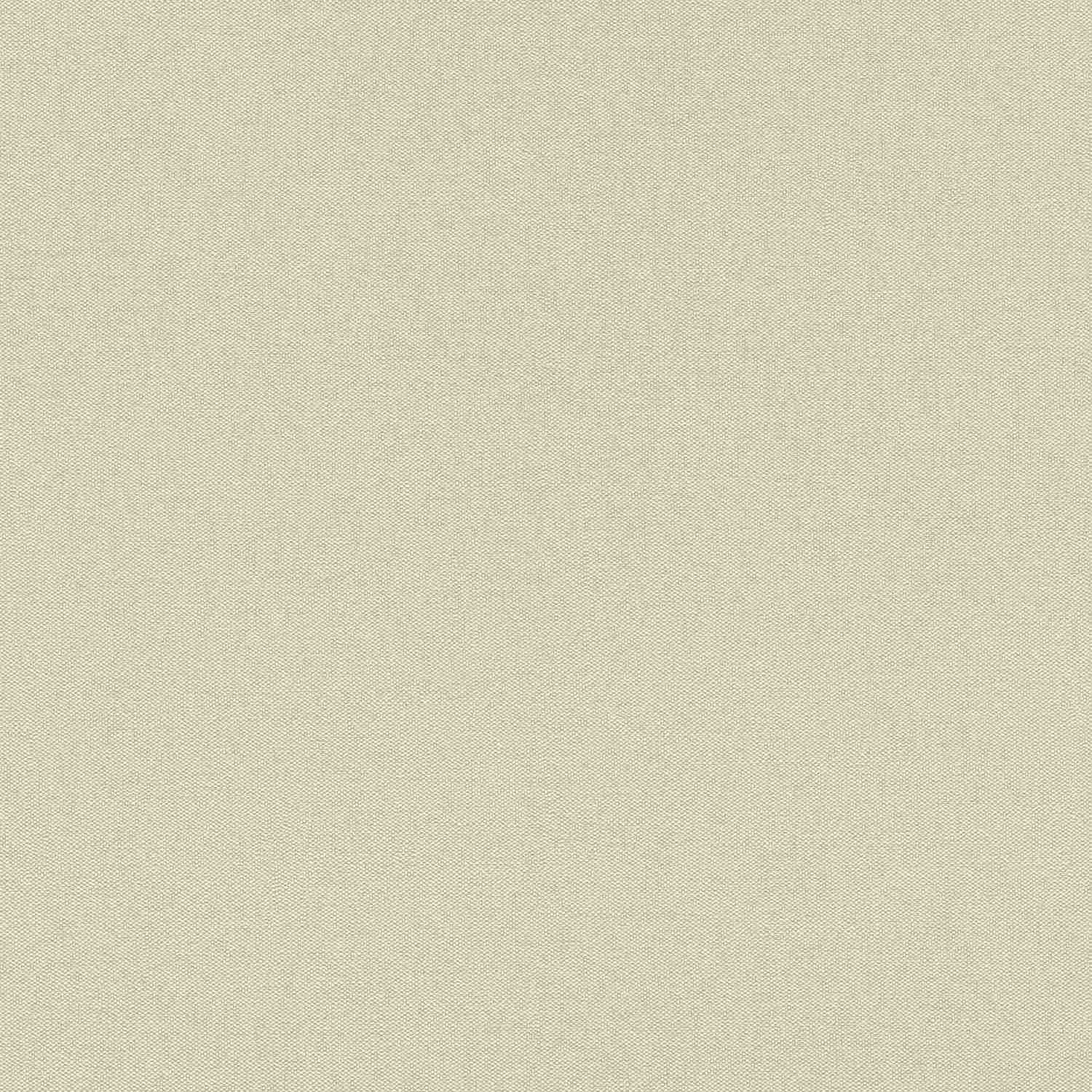 Rasch | Color Your Life | 633344 | Vliestapete | Einfarbig | Uni | 0.53 x 10.05 m | Beige