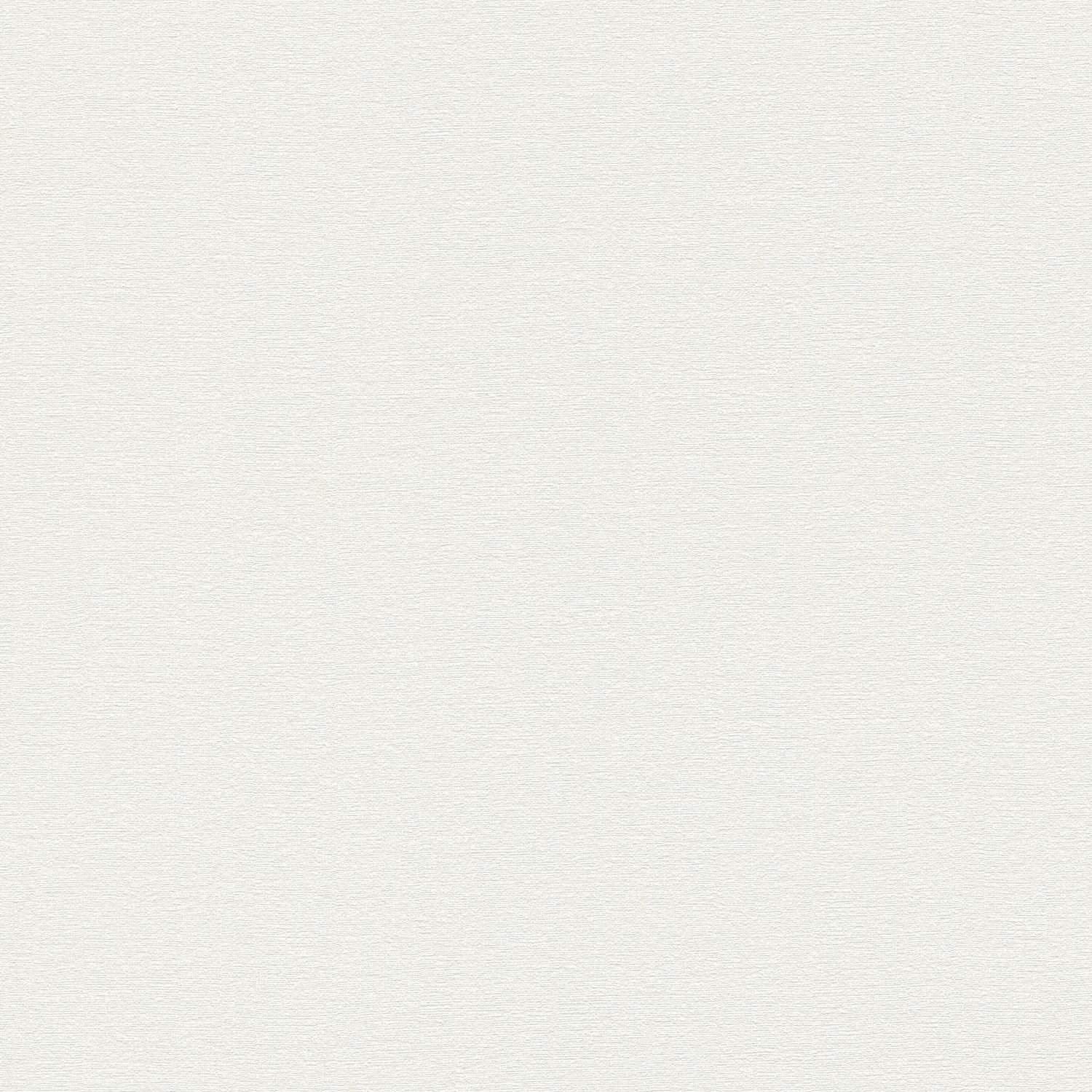 A.S. Creation | Stories of Life | 396553 | Vliestapete | Einfarbig | Uni | 0.53 x 10.05 m | Weiß