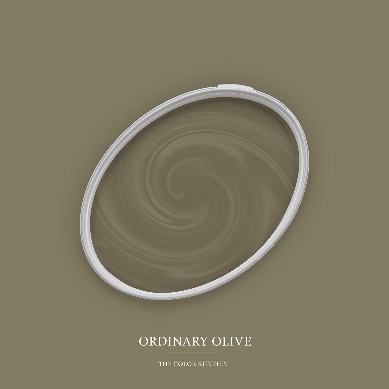 Wandfarbe Grün matt | The Color Kitchen Ordinary Olive | Exklusive Innendispersion Hohe Deckkraft