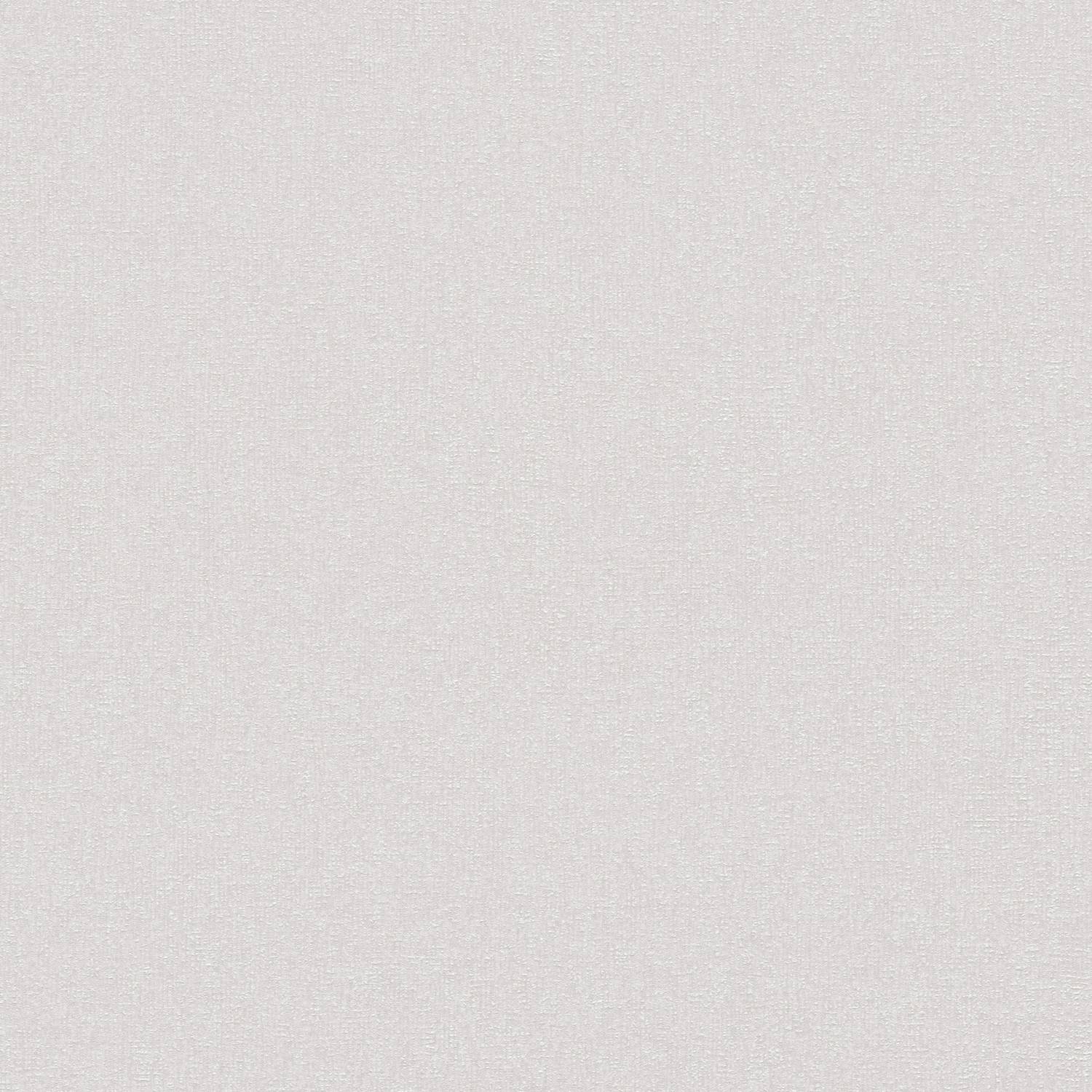 A.S. Creation | Terra | 389255 | Vliestapete | Einfarbig | 10.05 x 0.53 m | Grau