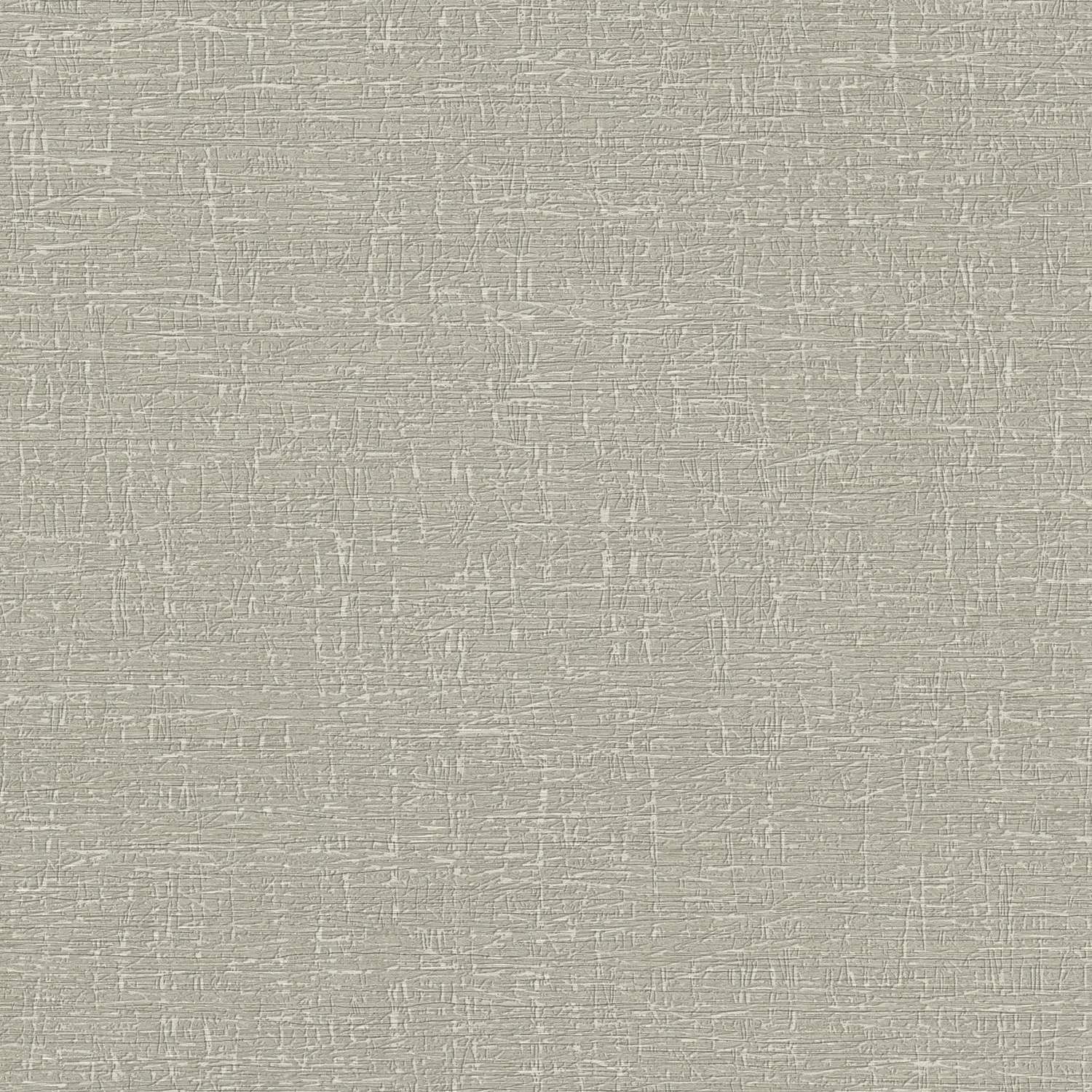 A.S. Creation | Stories of Life | 396486 | Vliestapete | Struktur | 0.53 x 10.05 m | Grau