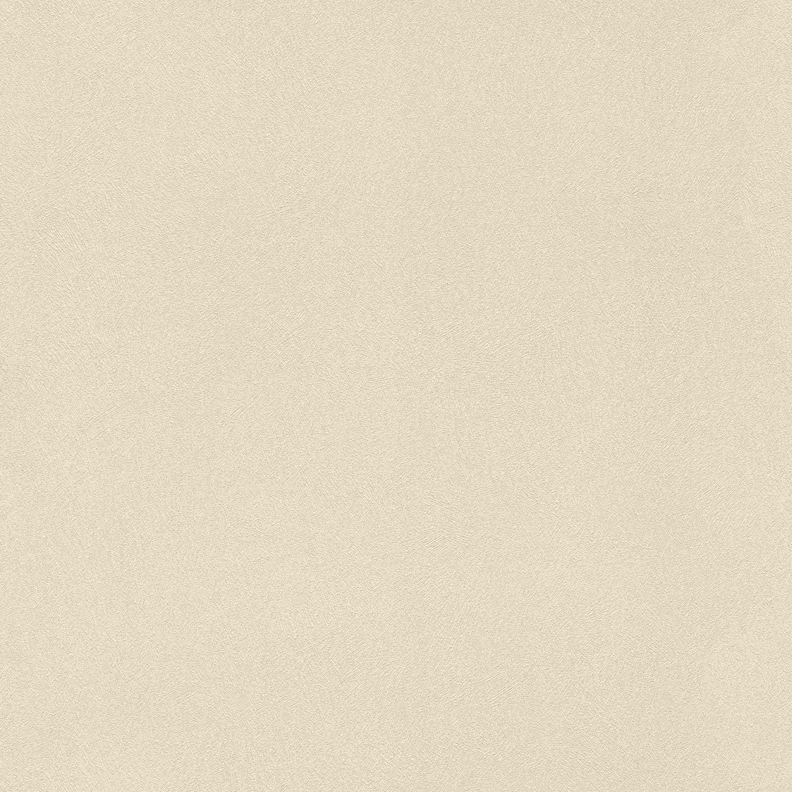 Rasch | Club | 418644 | Vliestapete | Einfarbig | Uni | 0.53 x 10.05 m | Beige