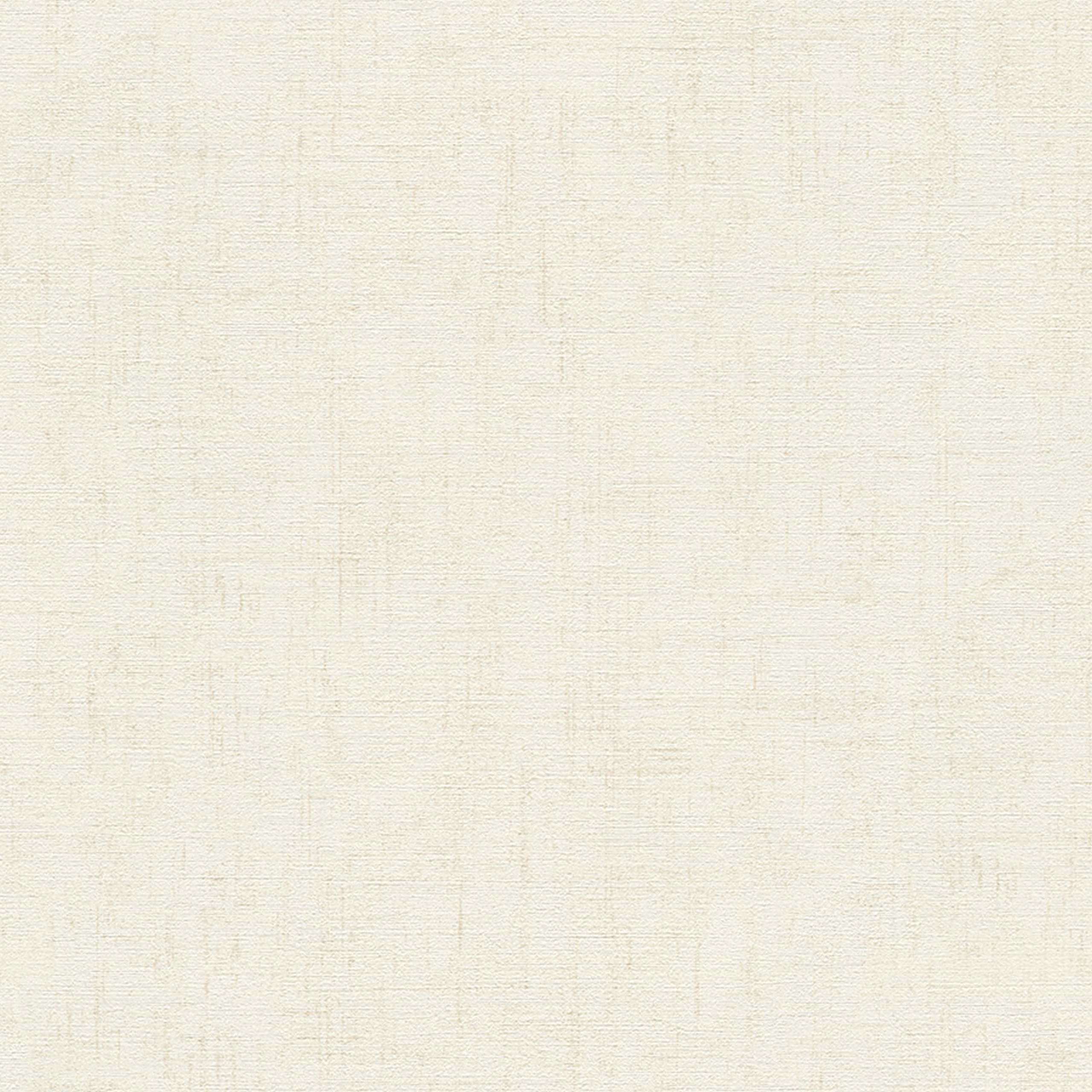 A.S. Creation Designbook | 322622 | Vliestapete Einfarbig | 0.53 m x 10.05 m | Beige