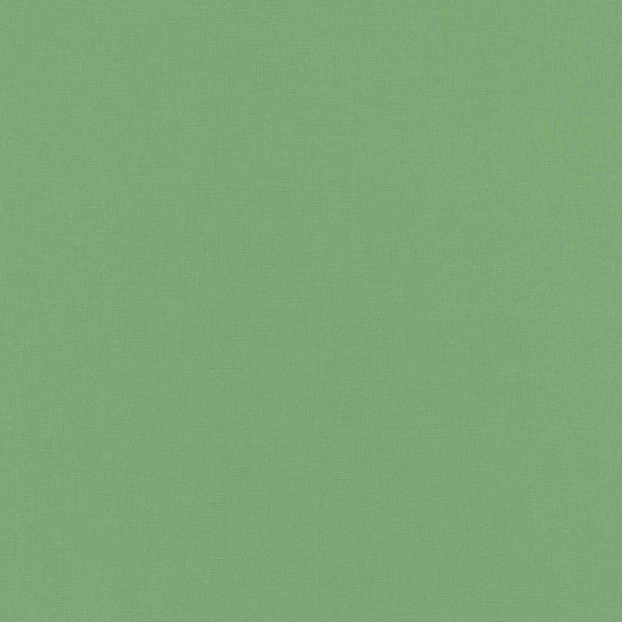 Rasch Club Botanique + Claas II | 537918 | Vliestapete Einfarbig | 0.53 m x 10.05 m | Grün