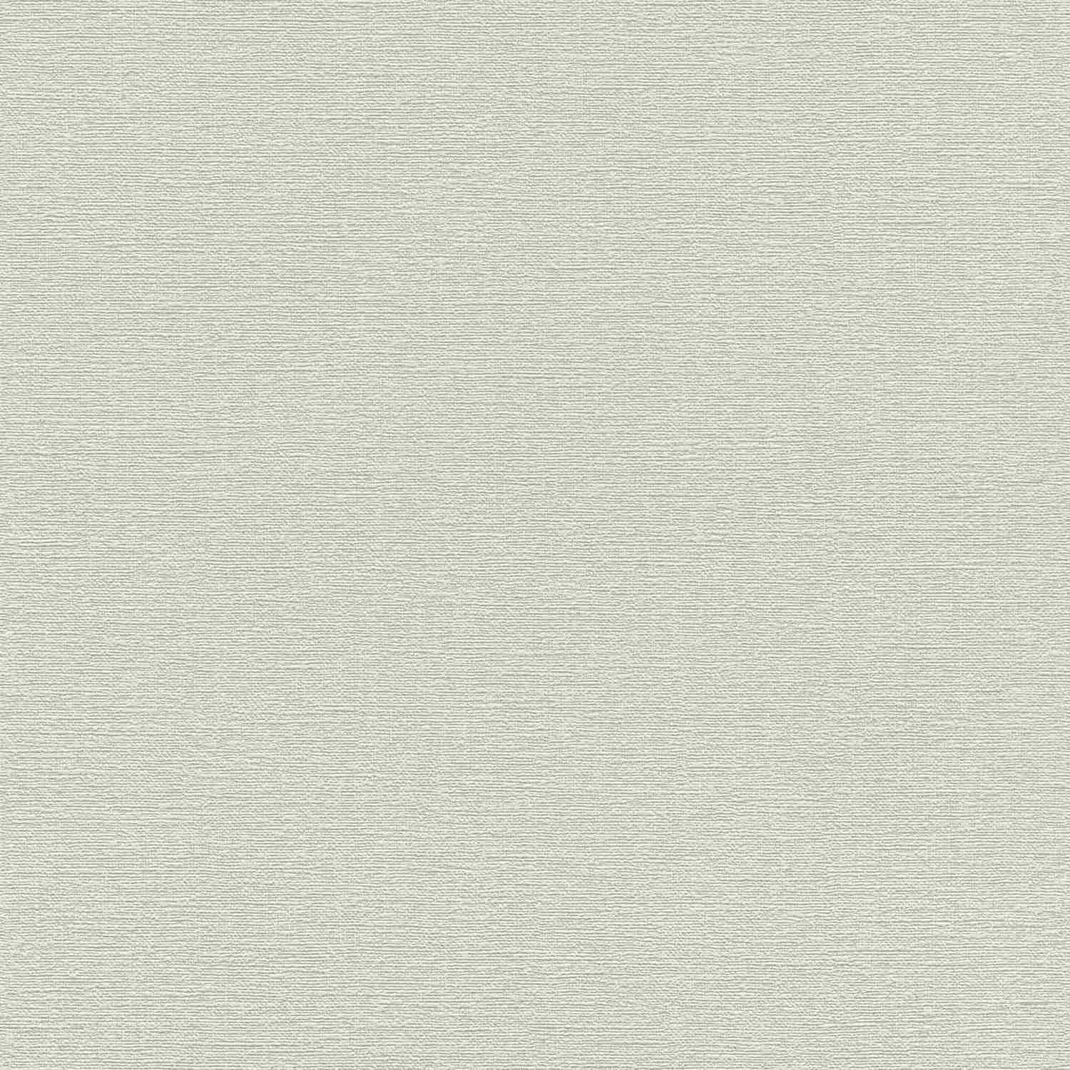 Rasch | #tapetenwechsel II | 804331 | Vliestapete | Einfarbig | Uni | 0.53 x 10.05 m | Grau