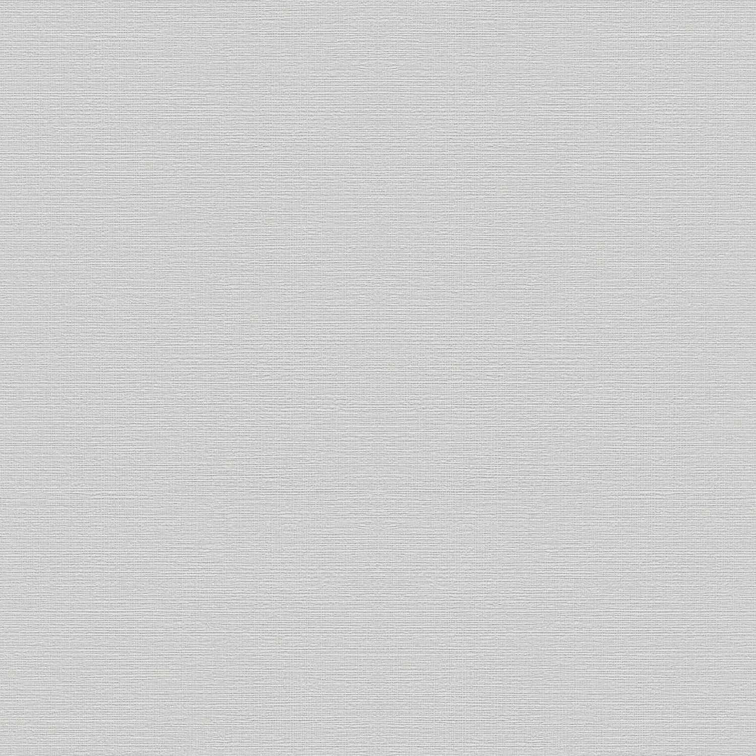 Rasch | Color Your Life | 732344 | Vliestapete | Einfarbig | Uni | 0.53 x 10.05 m | Silber | Grau
