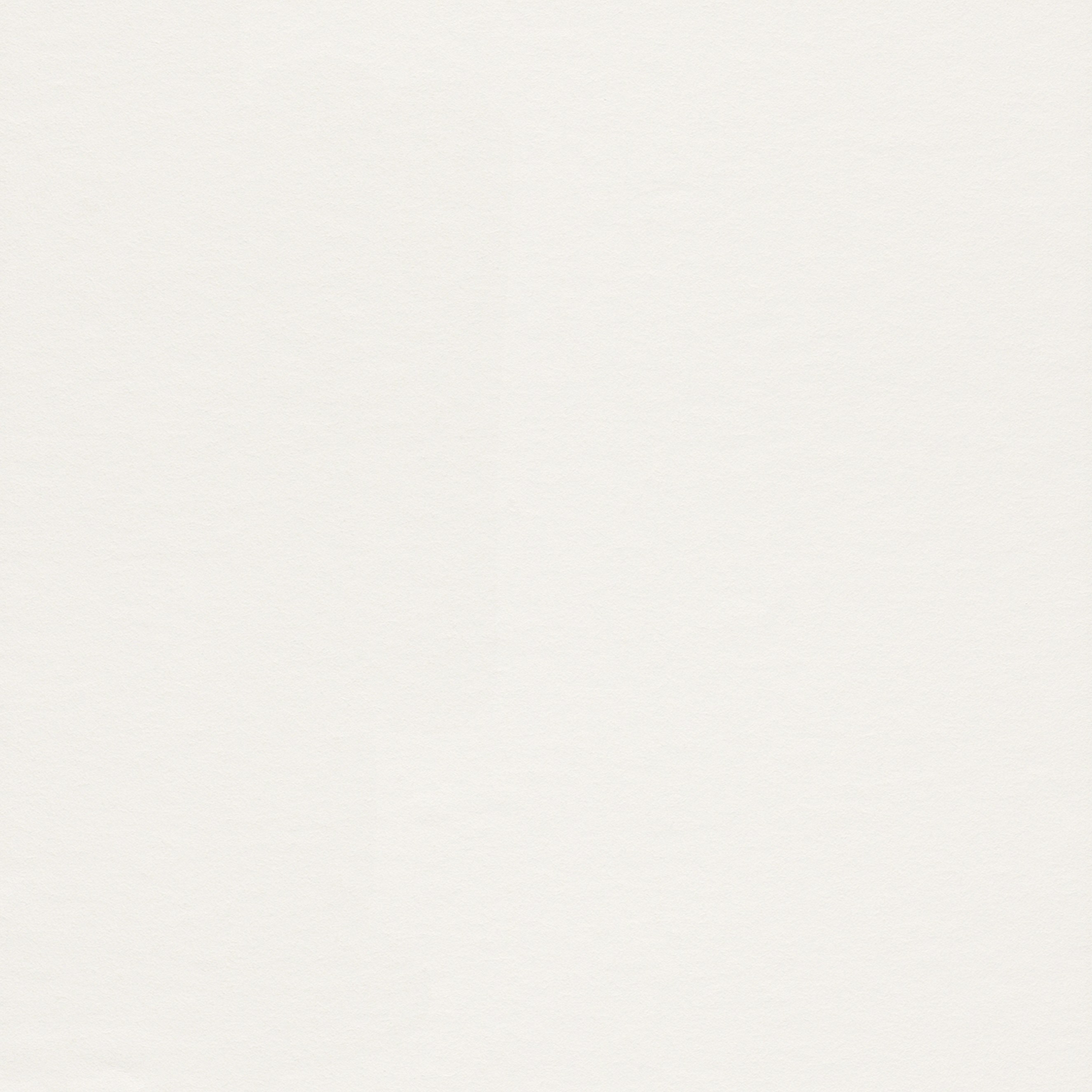 Rasch | Linares | 140217 | Vliestapete | Einfarbig | Uni | 0.53 x 10.05 m | Weiß