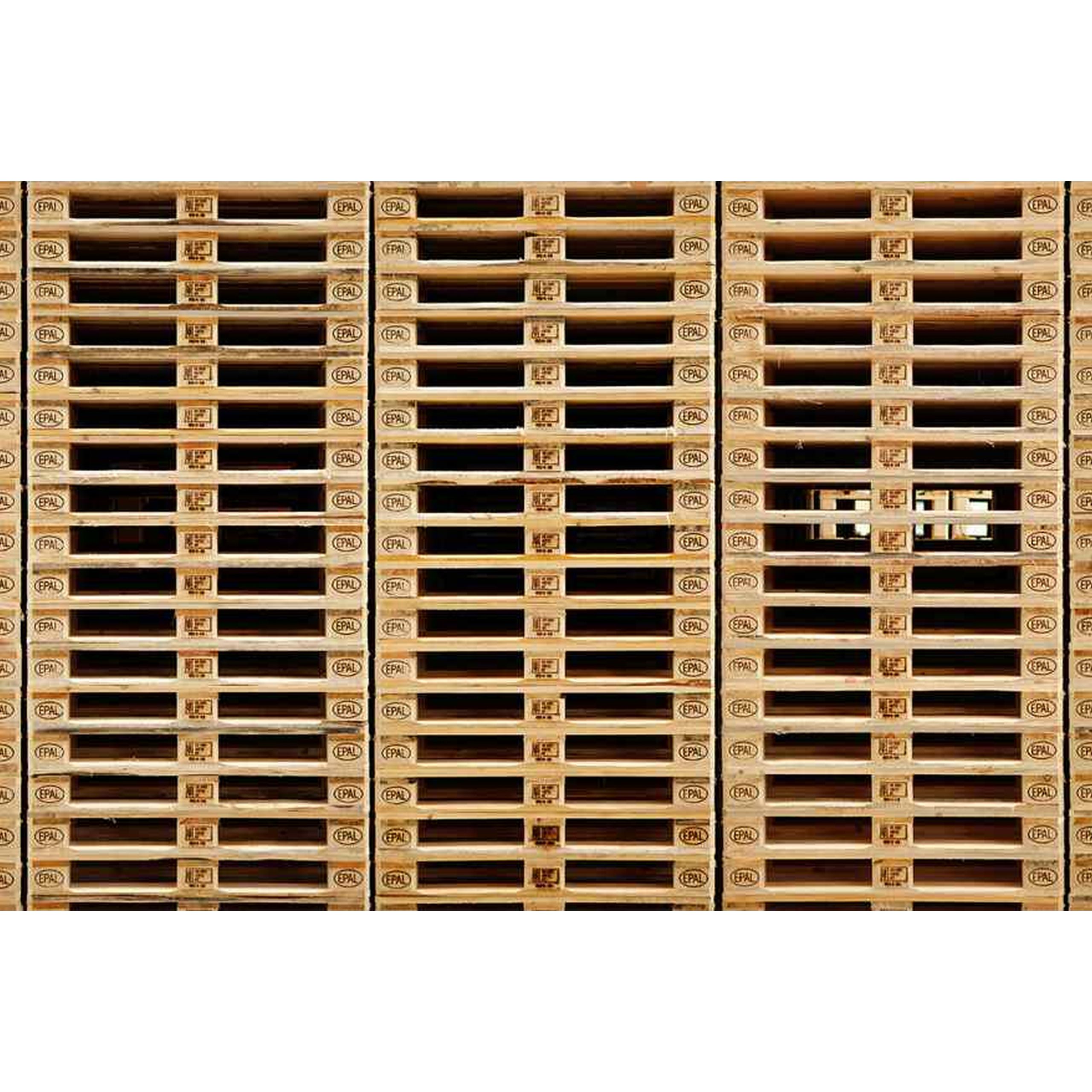 A.S. Creation | AP Digital 4 | DD108680 | Fototapete | Vlies | Versch. Größen | Holz | Braun