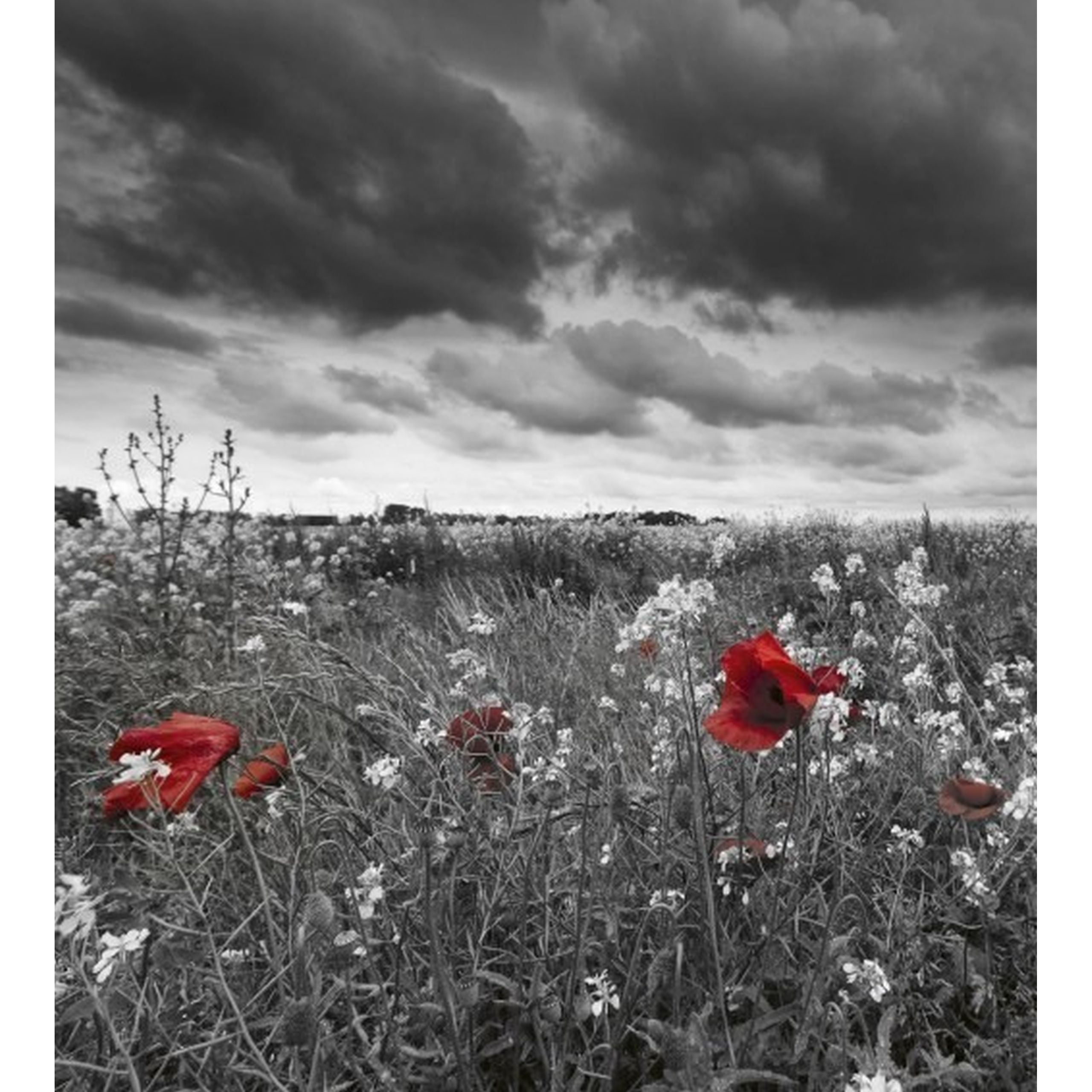 Dimex | Dimex Line | MS-2-0091  | Fototapete | Vlies | Versch. Größen | Landschaft & Kulisse