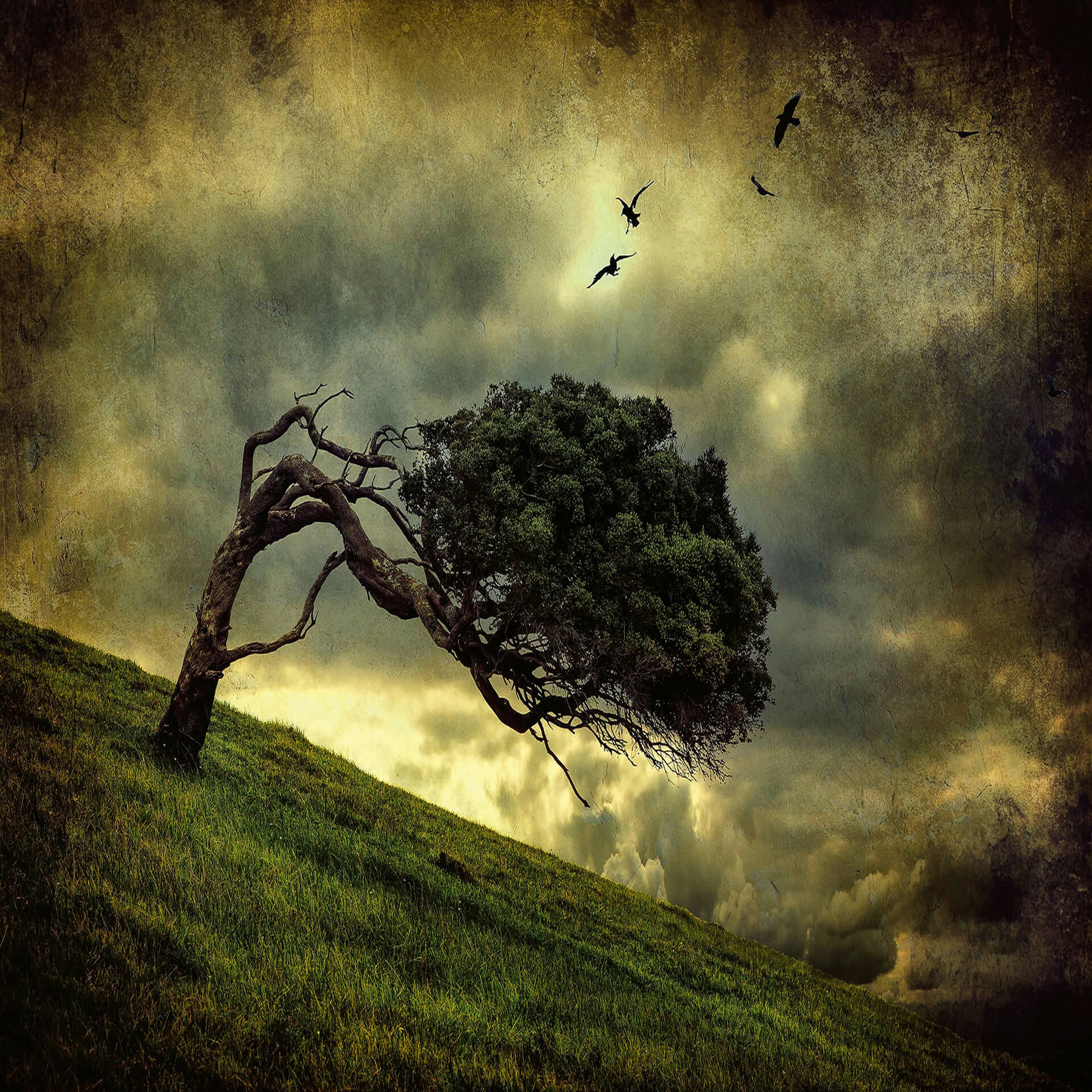 A.S. Creation | Designwalls 2.0 | DD118967 | Fototapete | Vlies | 384 x 260 cm | Wald & Pflanzen