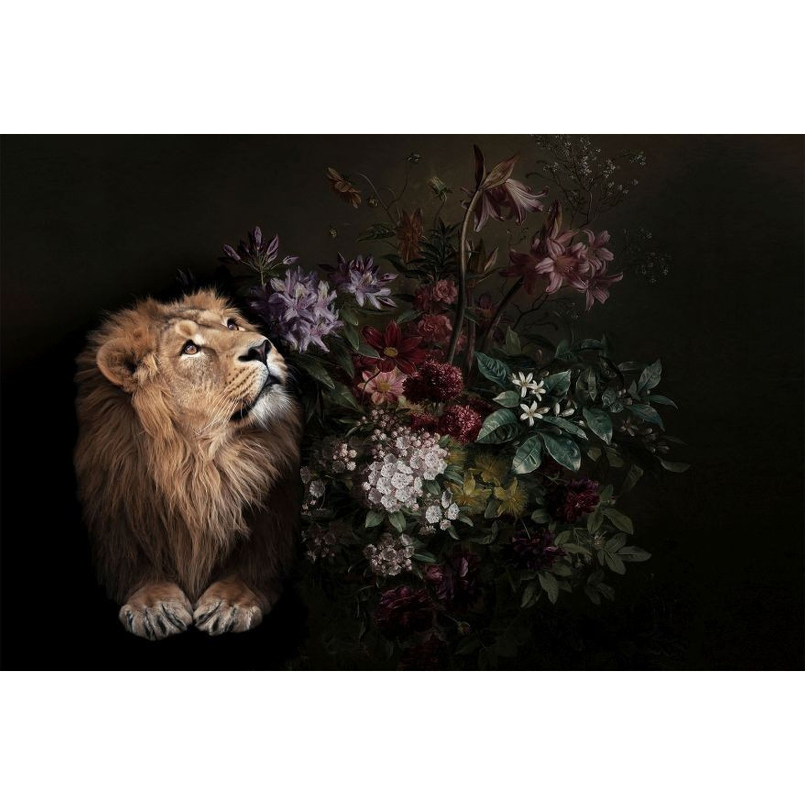 A.S. Creation | Walls by Patel 1 | DD110621 | Fototapete | Vlies | Versch. Größen | Wald & Pflanzen