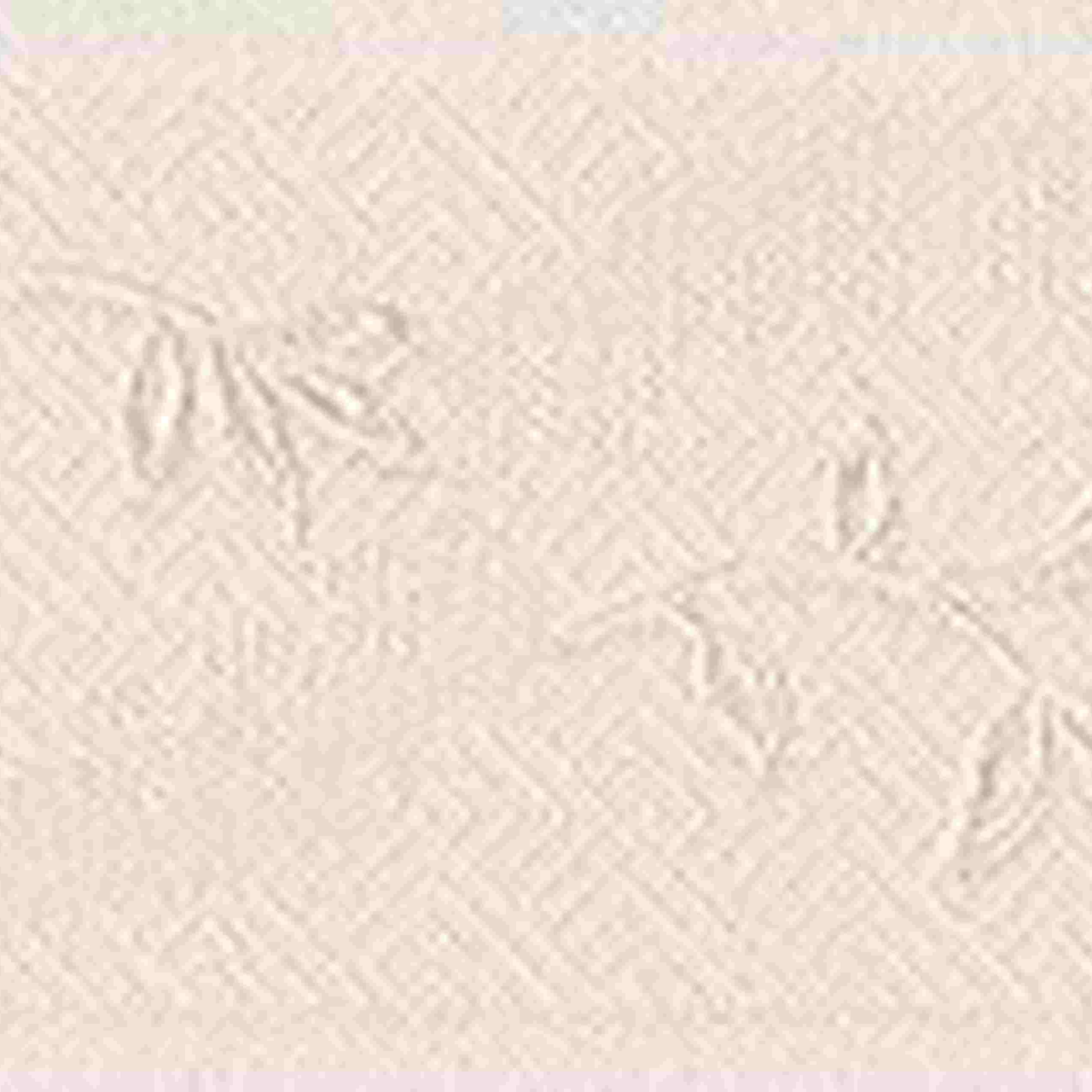 A.S. Creation | Only Borders 11 | 303001 | Foliebordüre | Borte | 0.05 x 5 m | Grau