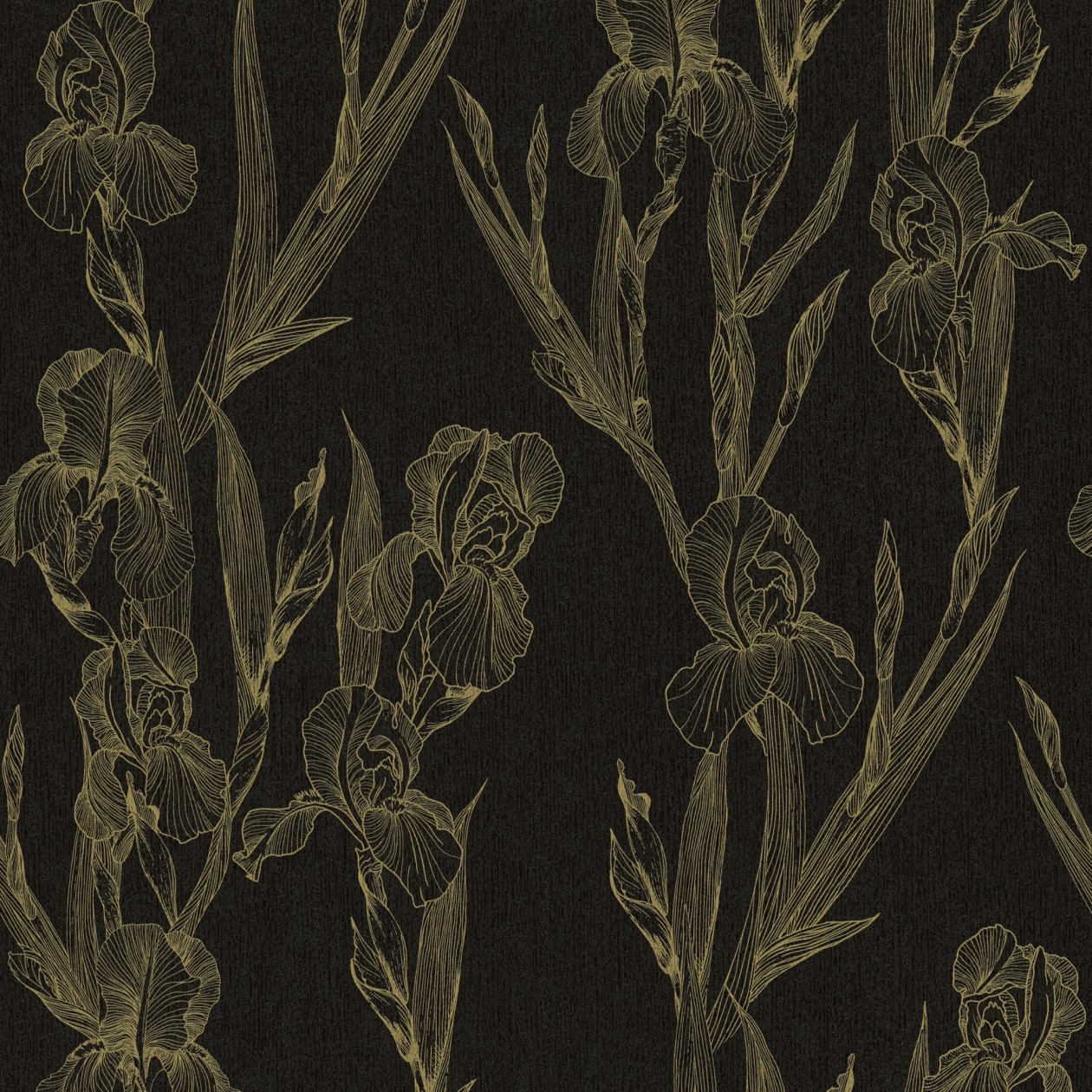 A.S. Creation | Daniel Hechter 6 | 375263 | Vliestapete | Blumenoptik | 0.53 x 10.05 m | Schwarz