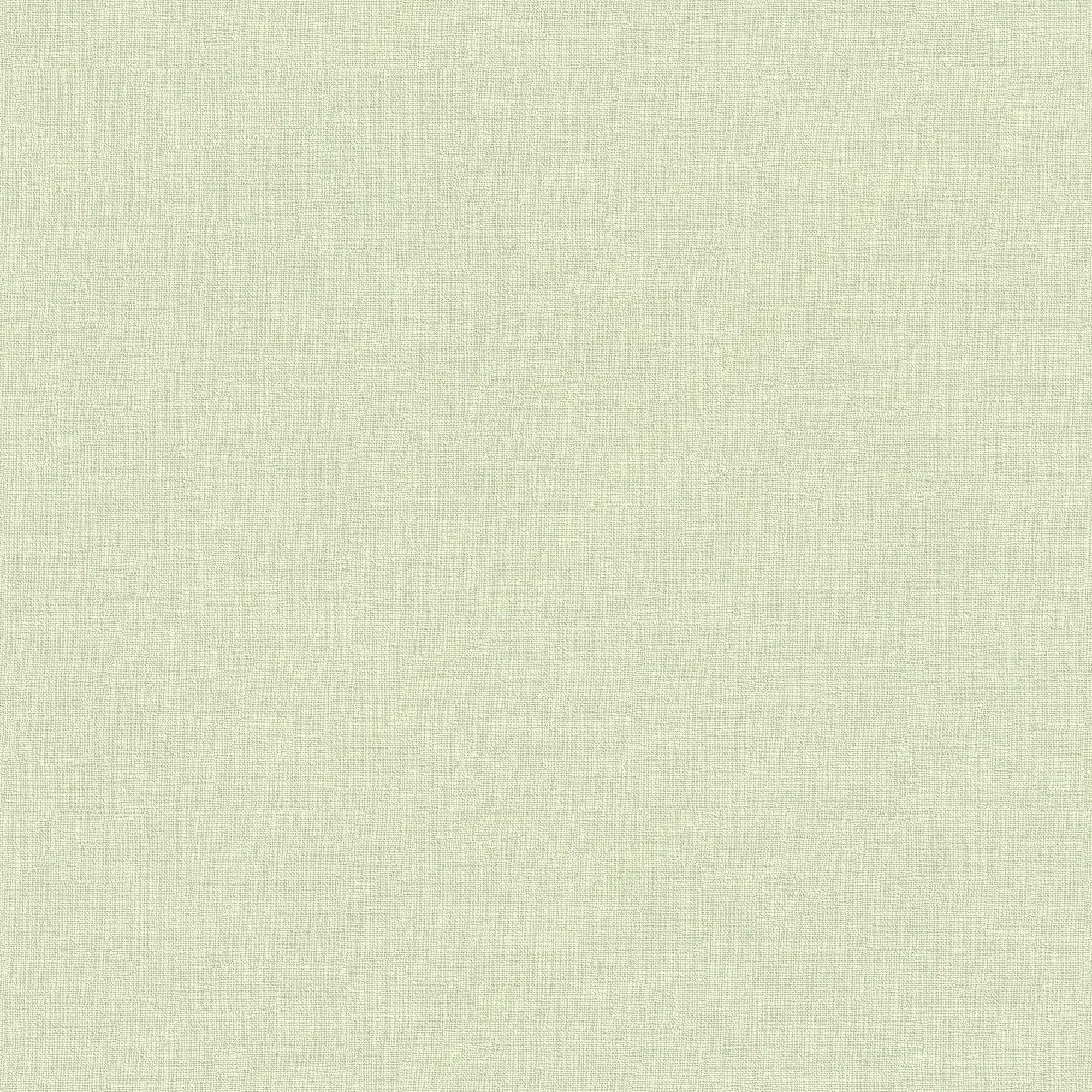 Vliestapete 447538 Grün Uni Einfarbig Country Charme Rasch