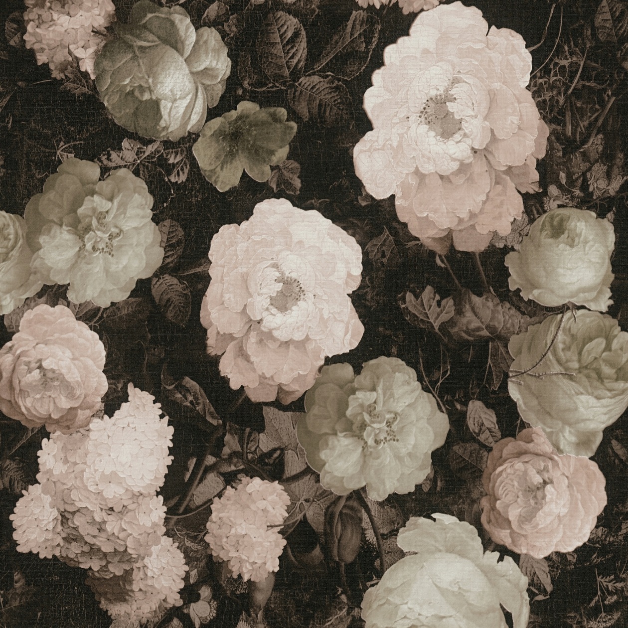 A.S. Creation | History of Art | 376504 | Vliestapete | Blumenoptik | 0.53 x 10.05 m | Rosa