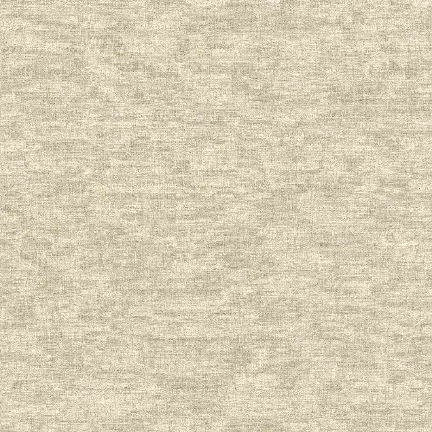 A.S. Creation | Smart Surfaces | 395655 | Vliestapete | Uni | Einfarbig | 0.53 x 10.05 m | Grau