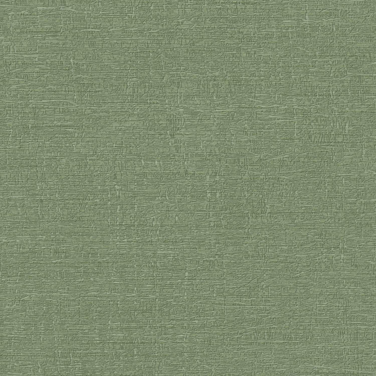 A.S. Creation | Stories of Life | 396481 | Vliestapete | Struktur | 0.53 x 10.05 m | Grün
