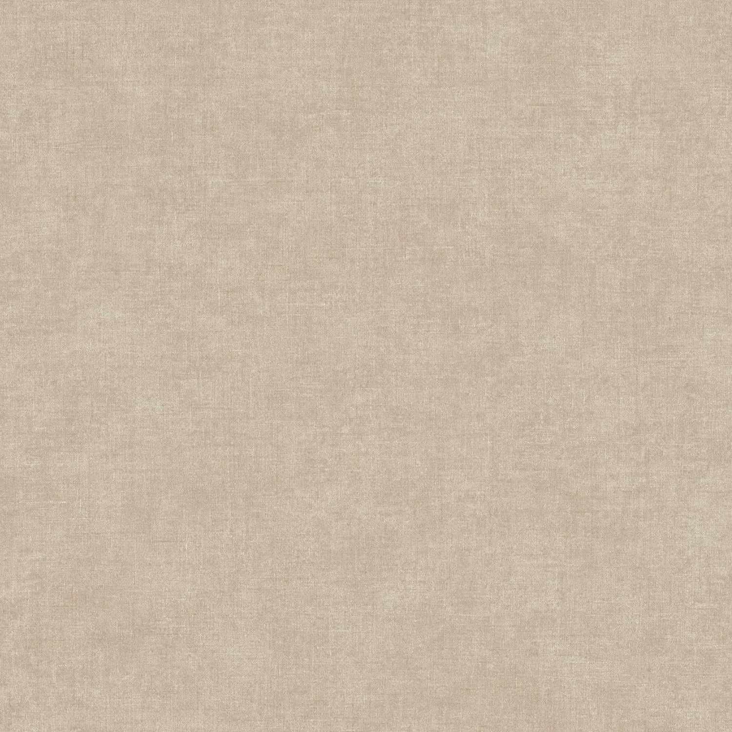 A.S. Creation | Desert Lodge | 367215 | Vliestapete | Einfarbig | Uni | 0.53 x 10.05 m | Braun