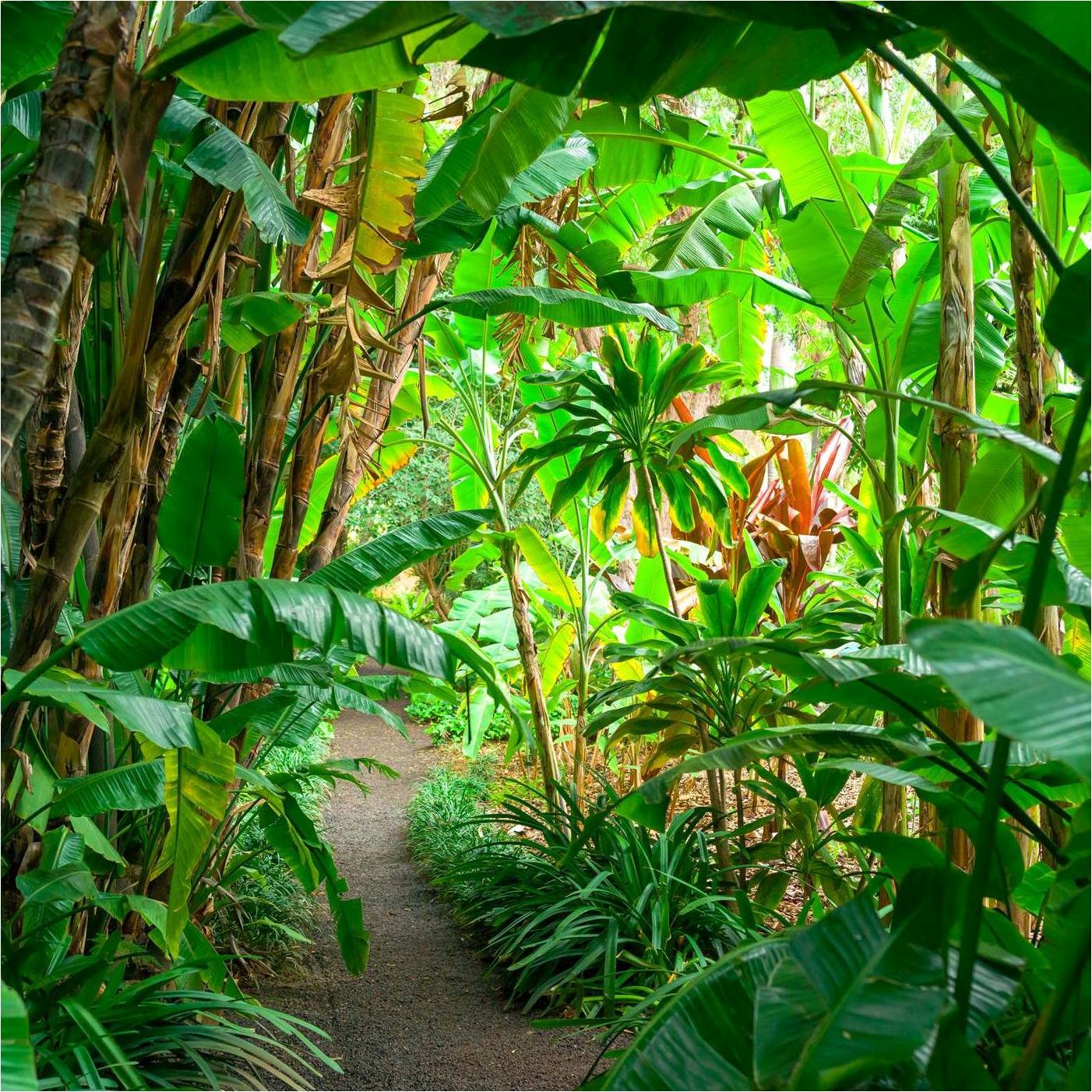 Vlies Fototapete 363784 Modern Selection Rasch