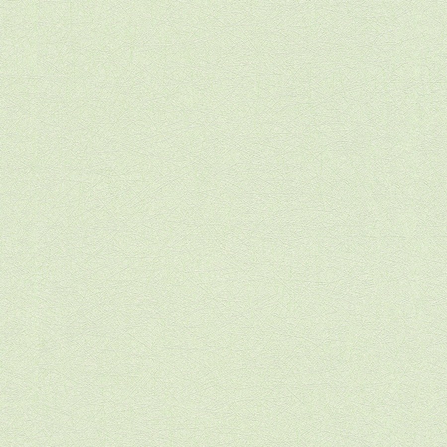 A.S. Creation | Premium Wall 2 | 358662 | Vliestapete | Einfarbig | 10.05 x 0.53 m | Grün