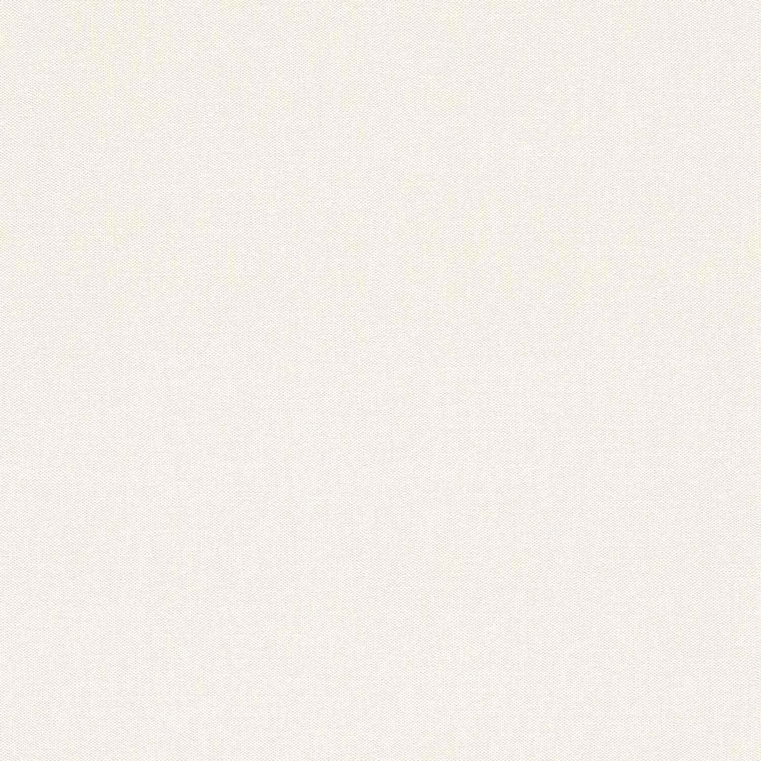 Rasch | Color Your Life | 633368 | Vliestapete | Einfarbig | Uni | 0.53 x 10.05 m | Weiß