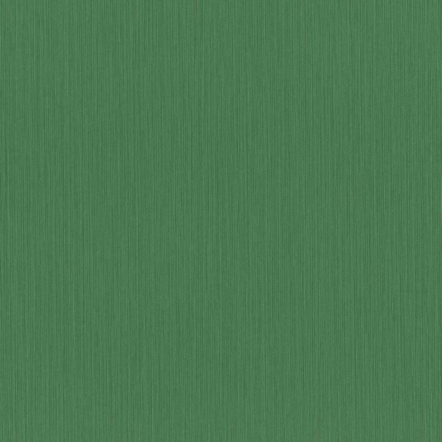 Rasch | Curiosity | 537673 | Vliestapete | Einfarbig | Uni | 0.53 x 10.05 m | Grün