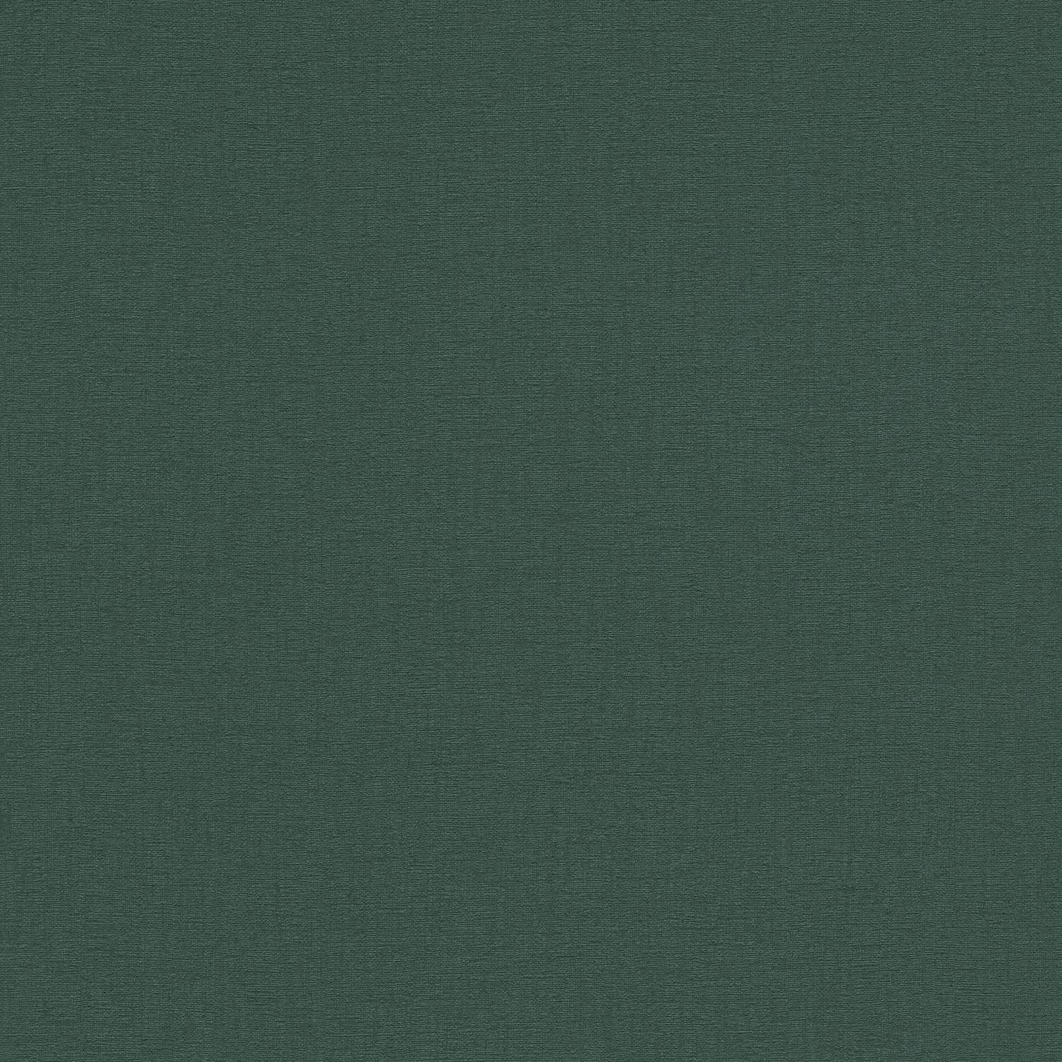 A.S. Creation | Stories of Life | 396555 | Vliestapete | Einfarbig | Uni | 0.53 x 10.05 m | Grün