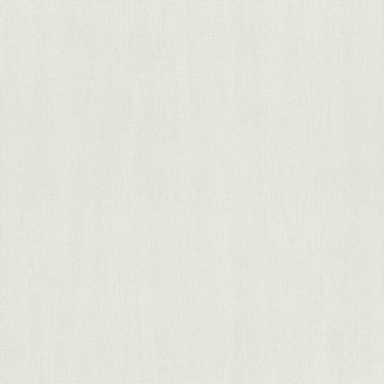 Rasch | Hyde Park | 411867 | Vliestapete | Einfarbig | Uni | 0.53 x 10.05 m | Grau