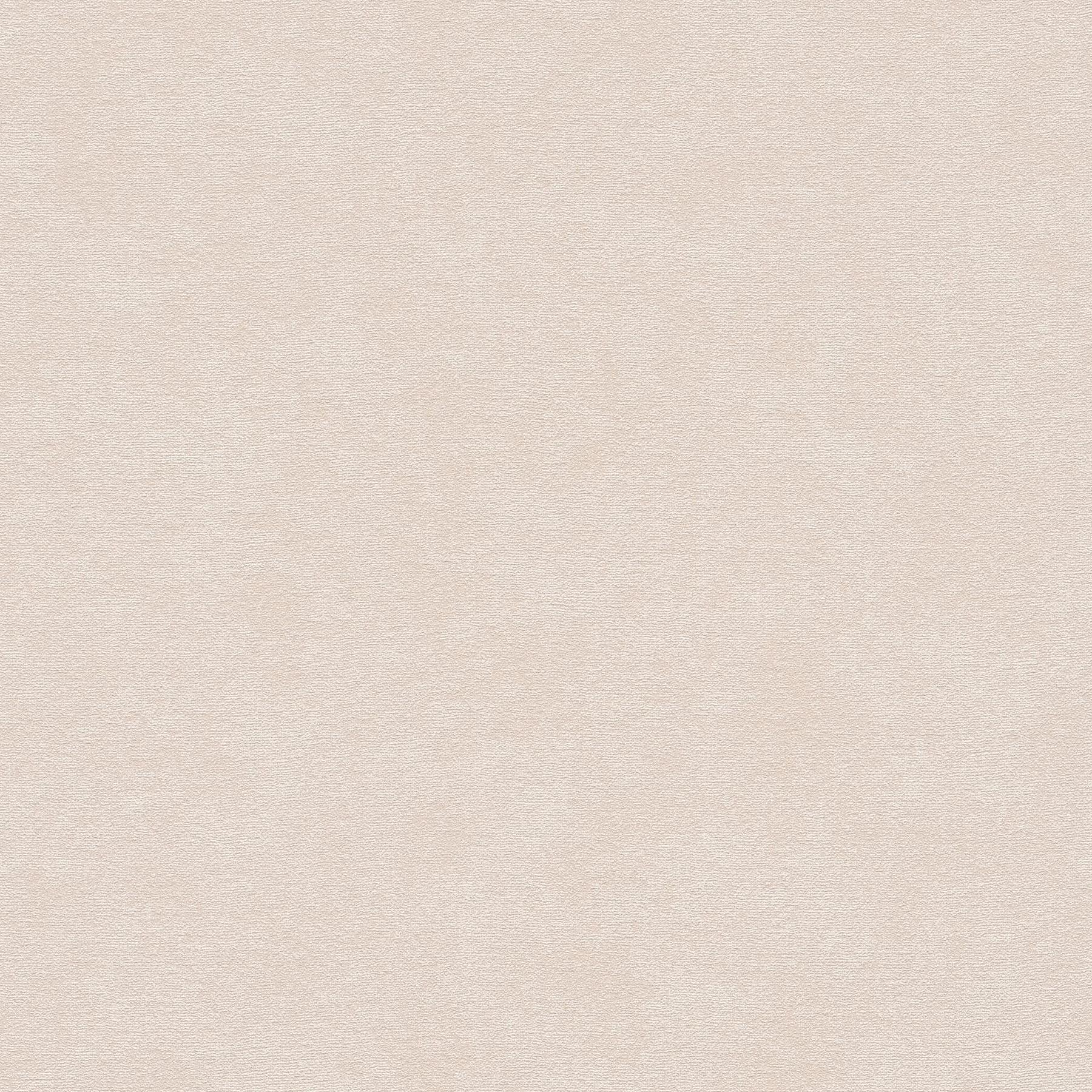 Vliestapete 393417 Pink Uni Einfarbig French Affair  A.S. Creation